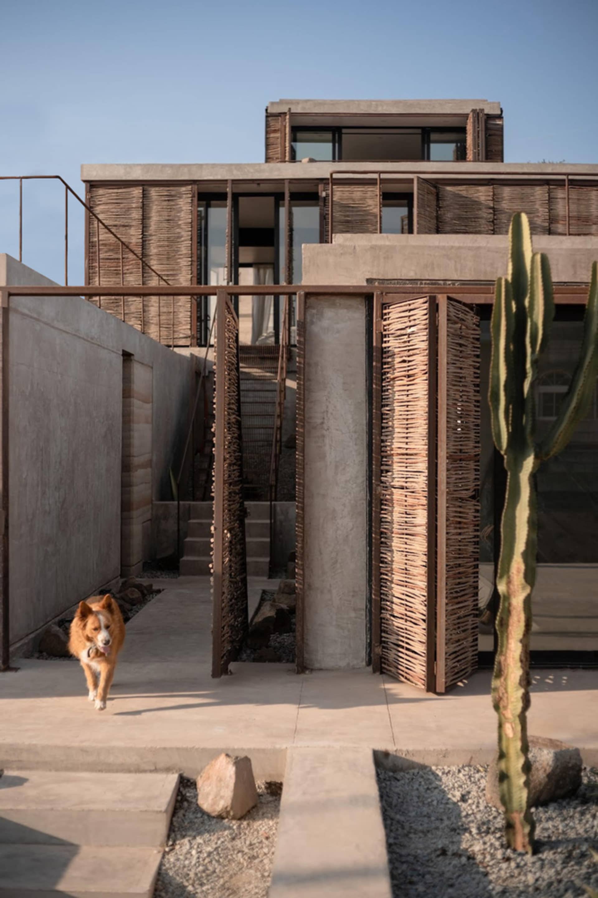Modern residential structure with a concrete exterior and wicker detailing, featuring a dog walking toward the viewer.