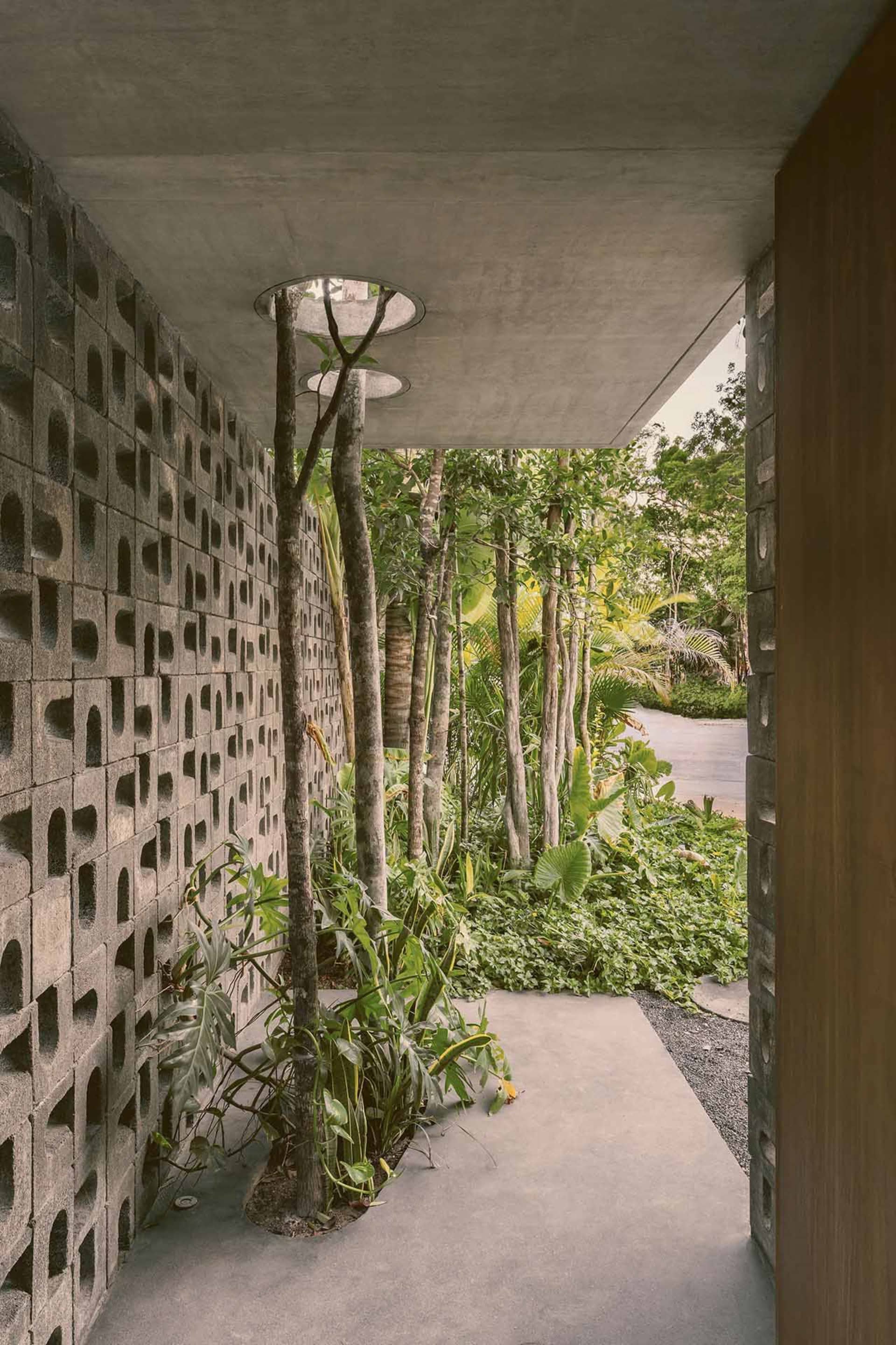 A modern house with a concrete wall and a tree in the courtyard.