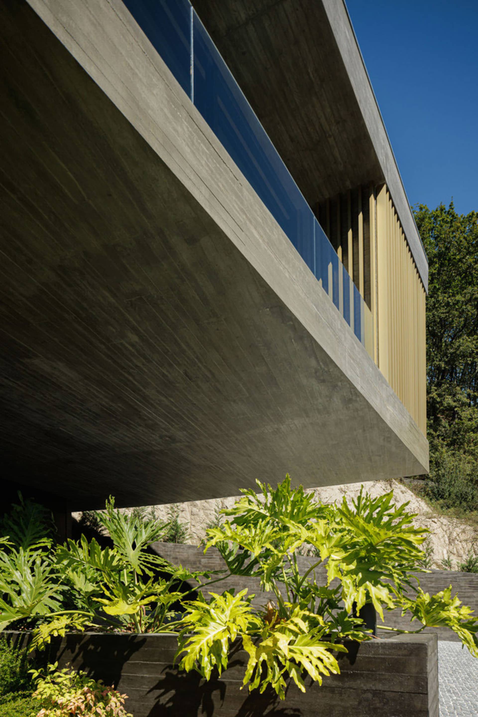 A modern building with a concrete exterior and large windows.