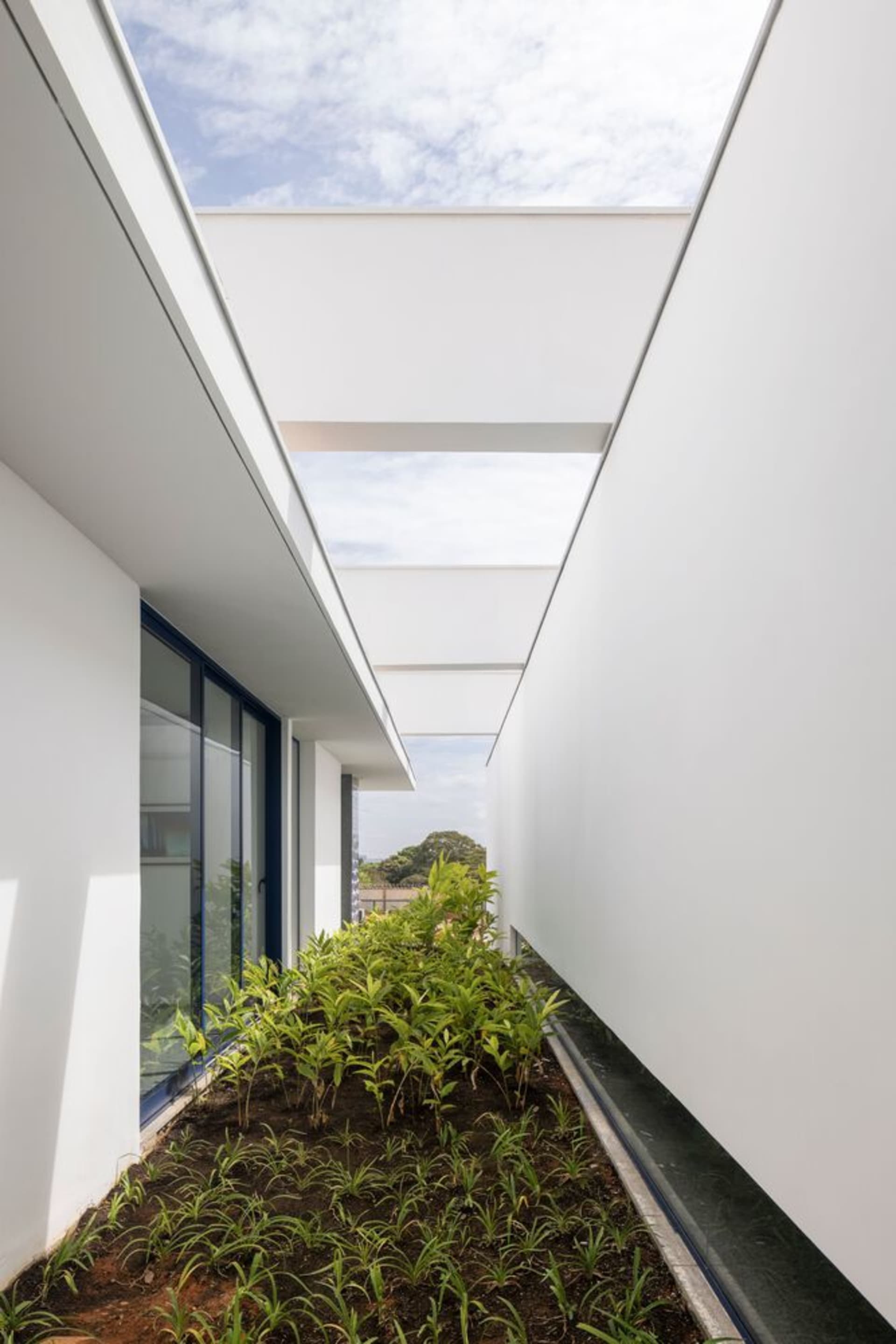 A modern, spacious interior with glass walls, concrete flooring, and green plants.