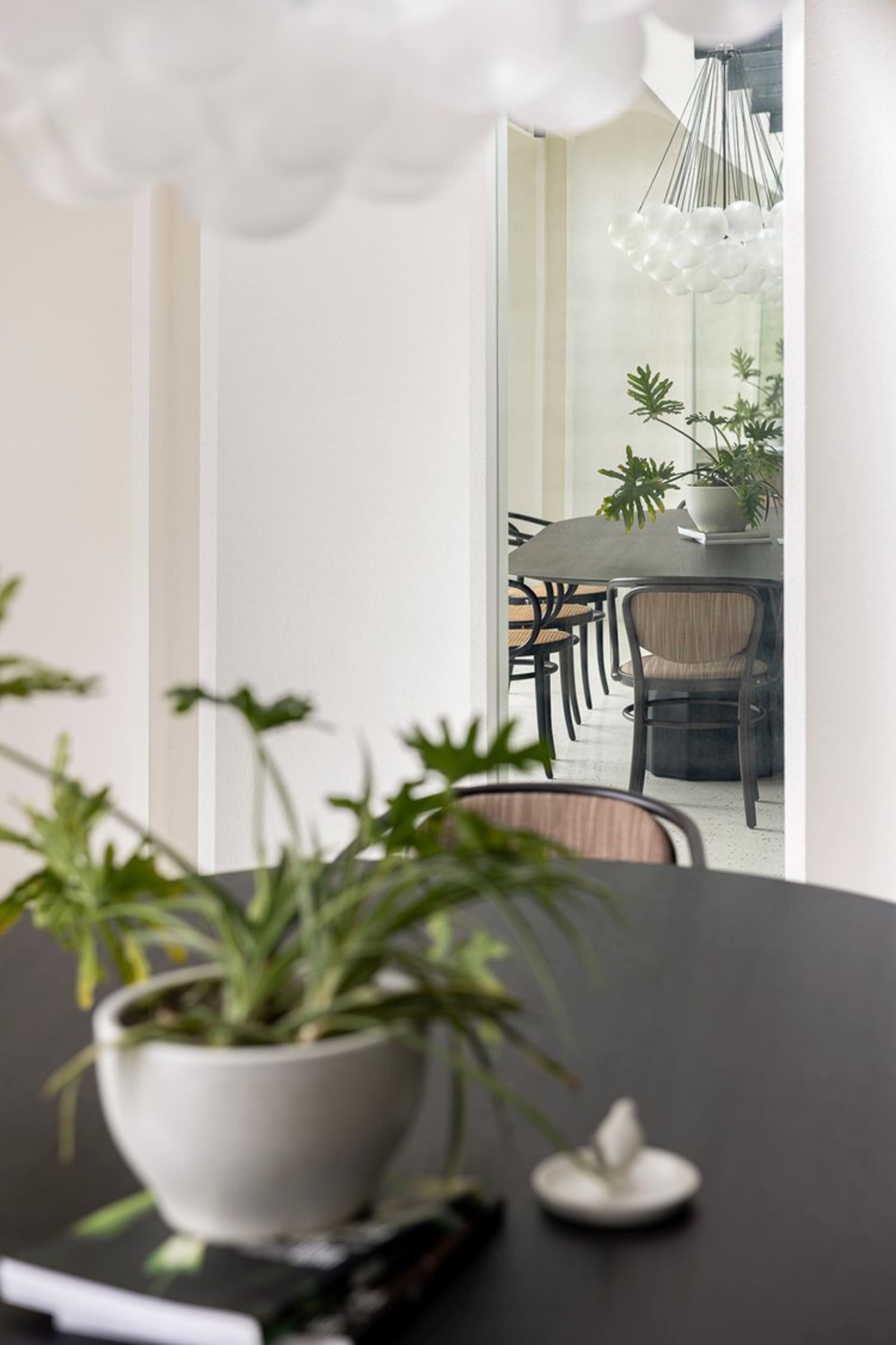 A modern dining room featuring wooden furniture and potted plants.