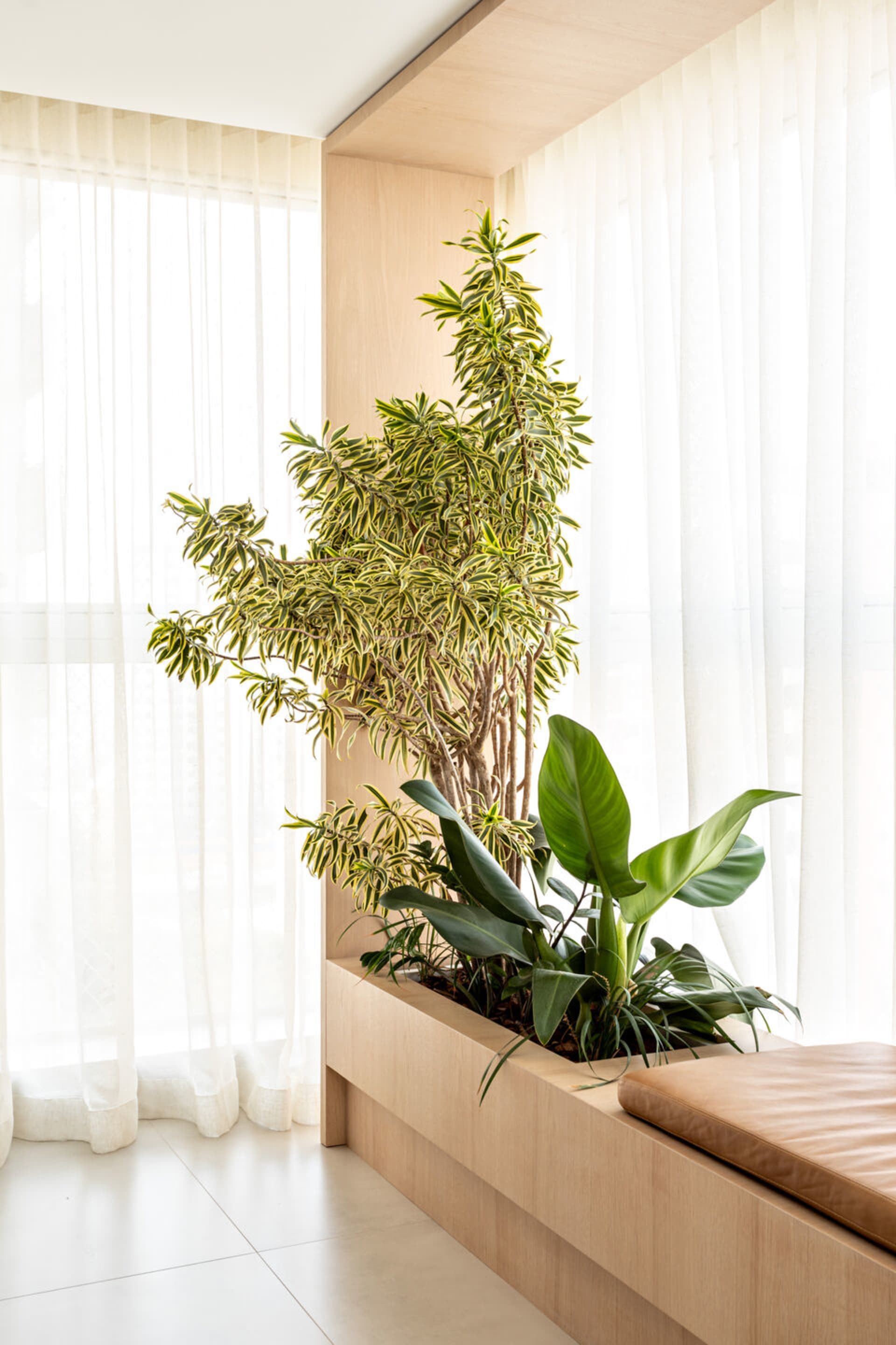 簡約室內空間,展示木製植物架,擺放高大綠植及軟墊長椅。