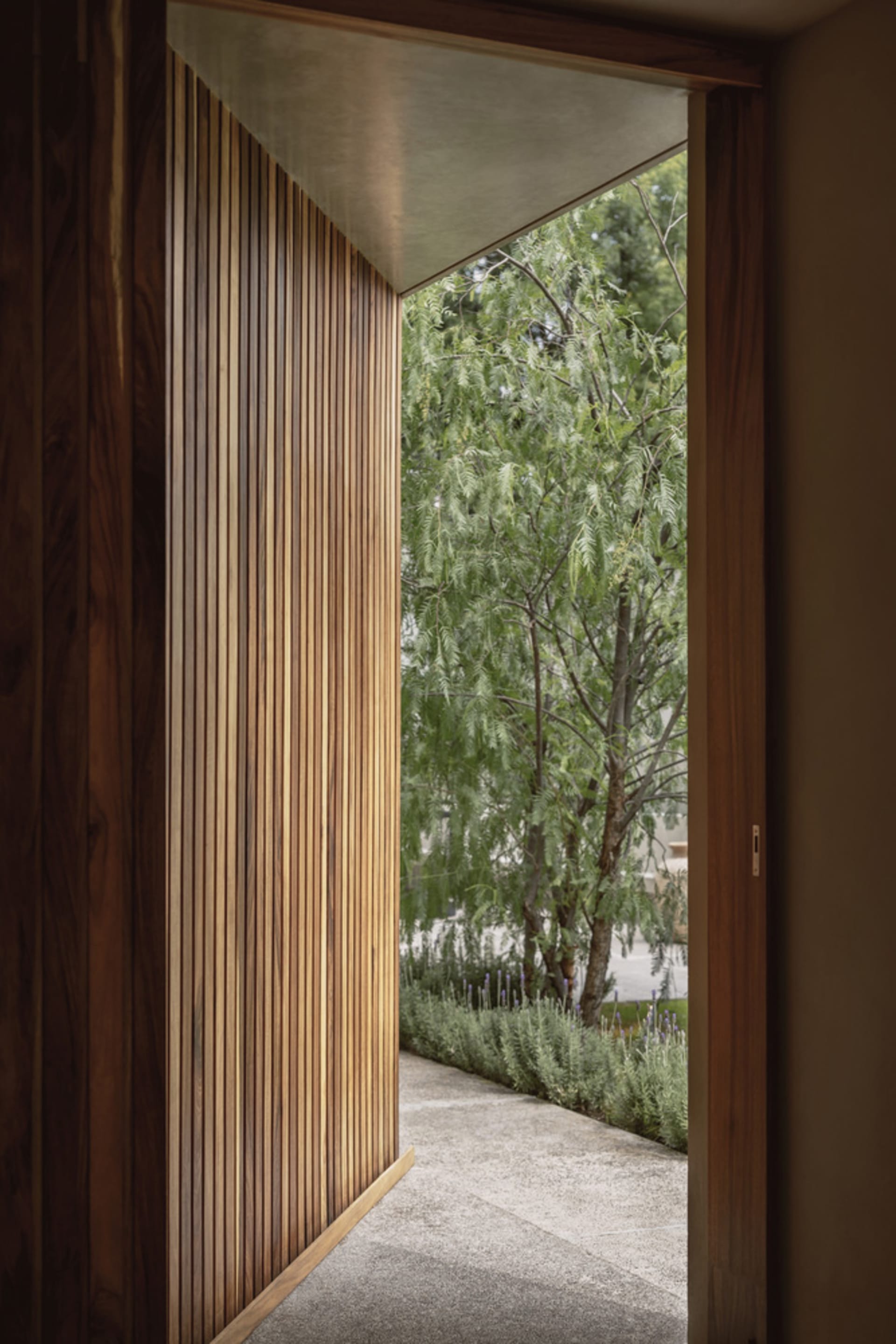Modern interior featuring a wooden wall and view of outdoor greenery.