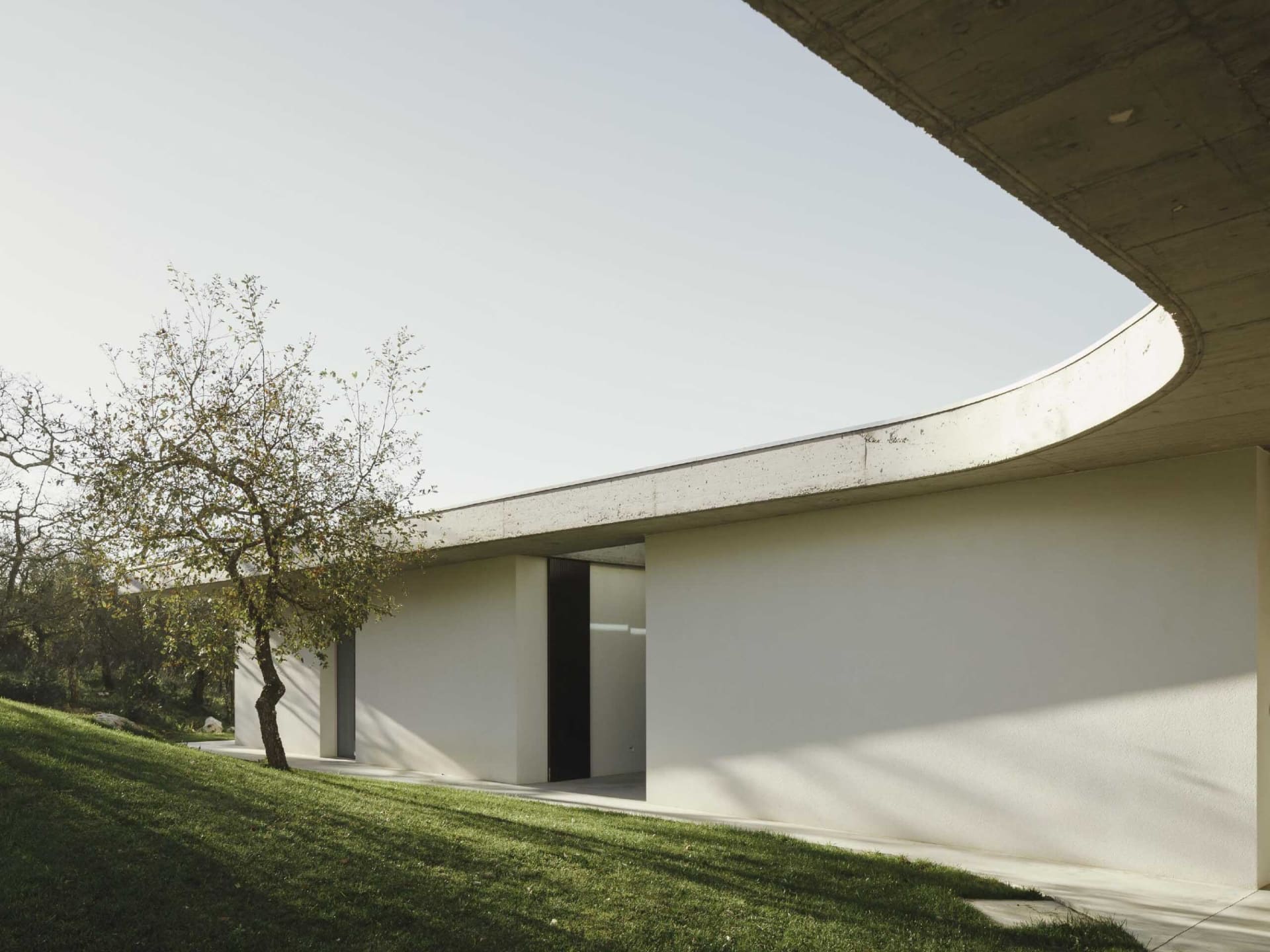 Modern residential building with curved concrete walls and a sloped lawn.