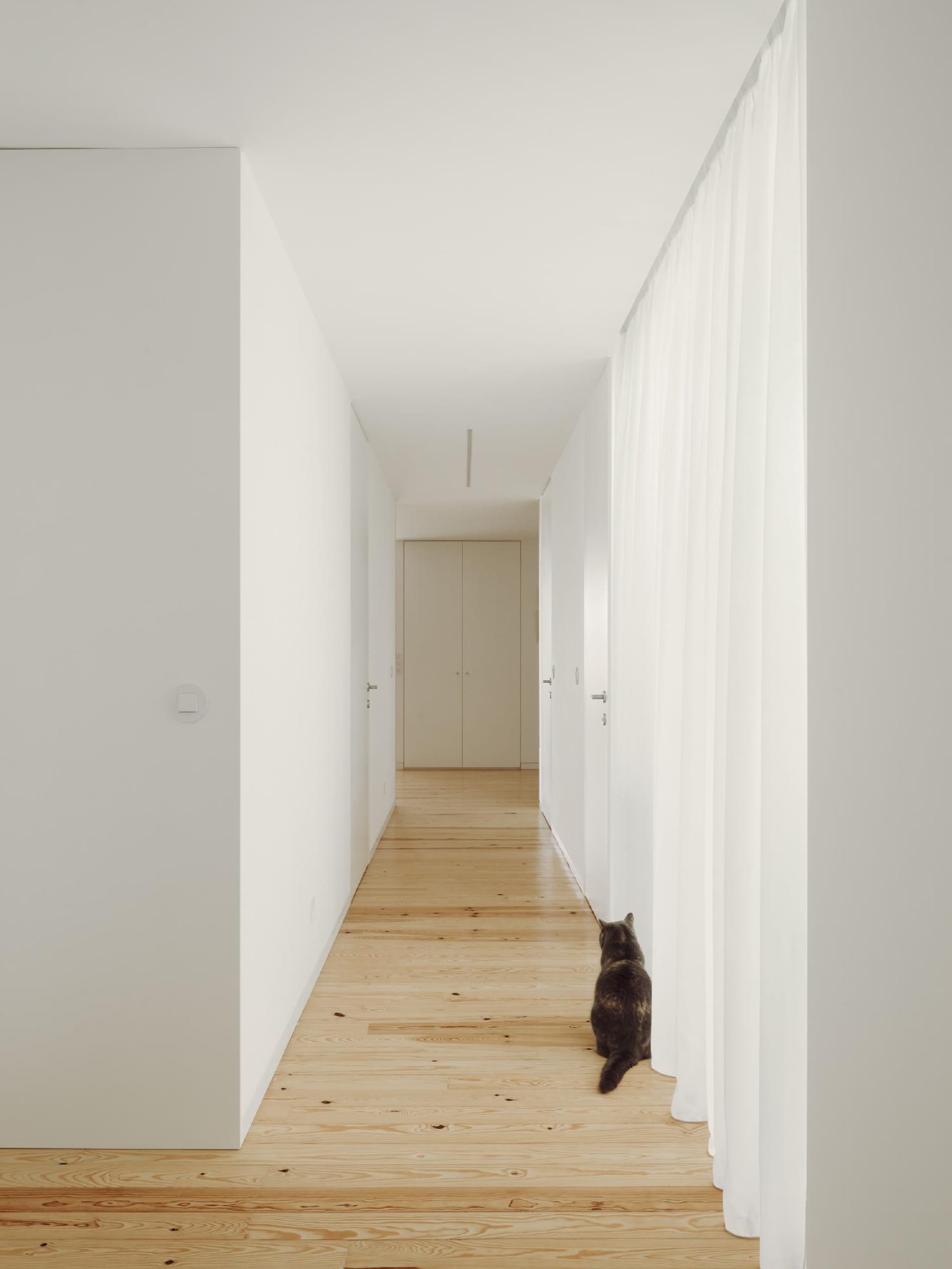 A minimalist hallway with wood flooring and white walls and curtains.