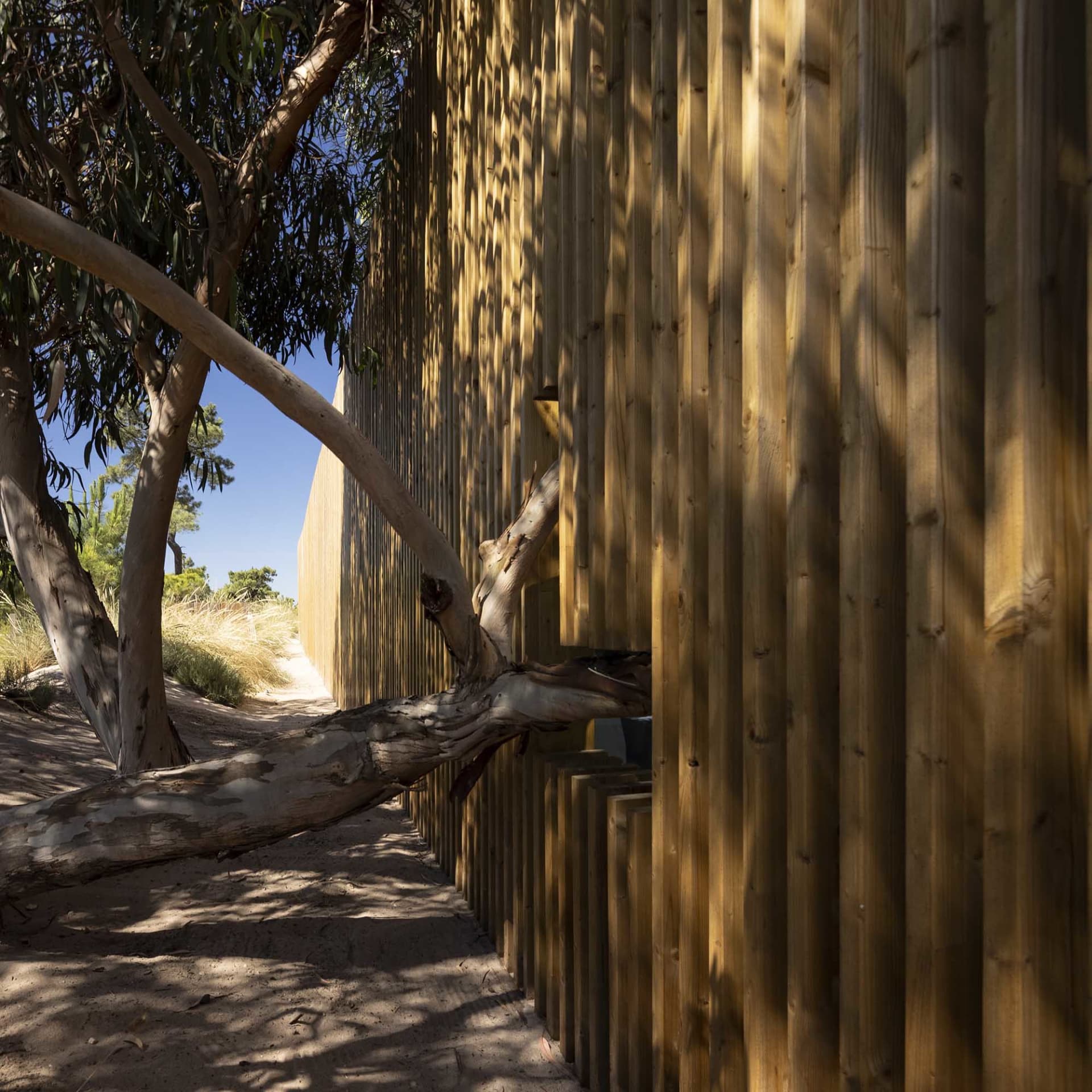 A modern beach house with a wooden fence surrounded by sand and trees.