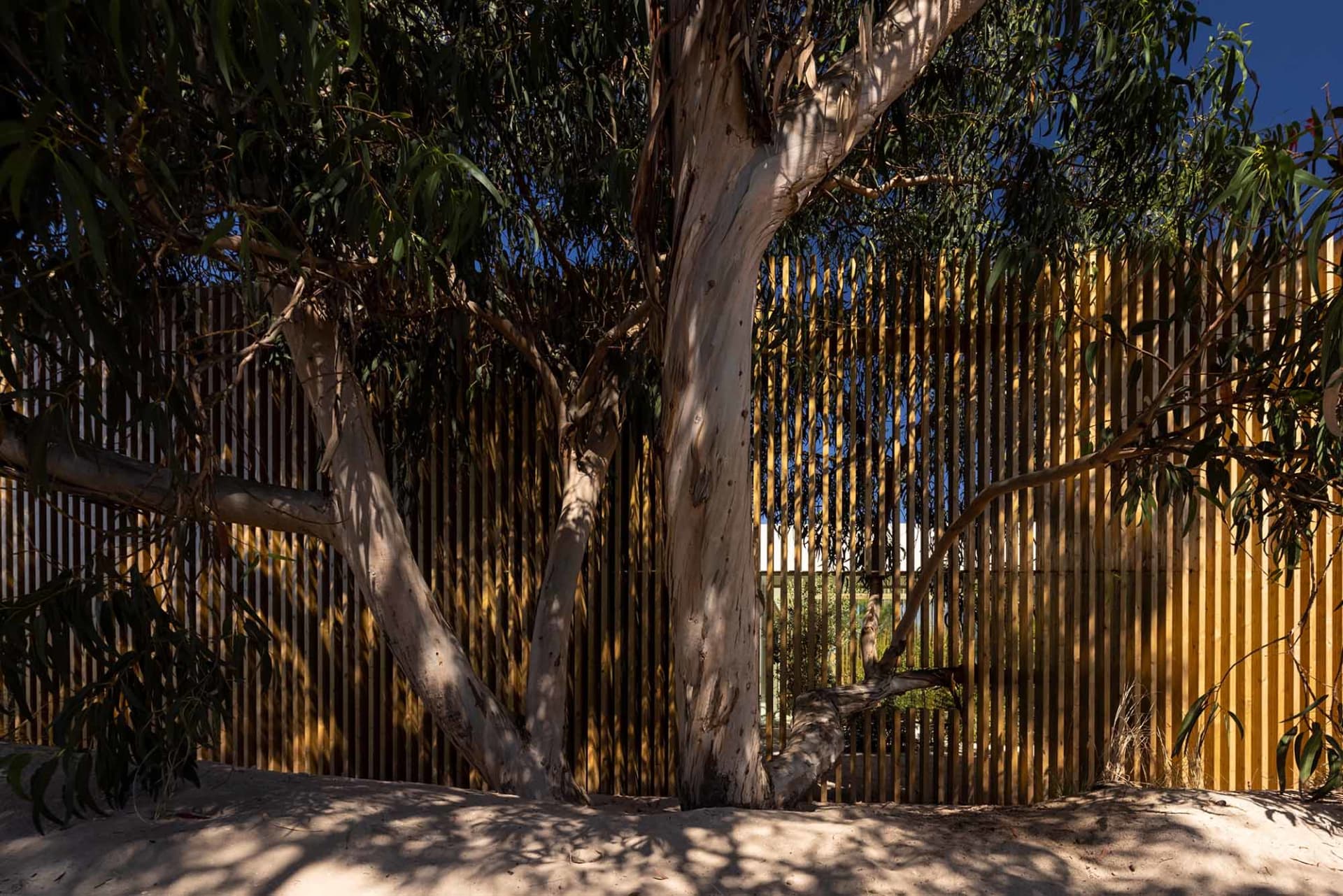Modern wooden fence with shadows cast by surrounding trees.