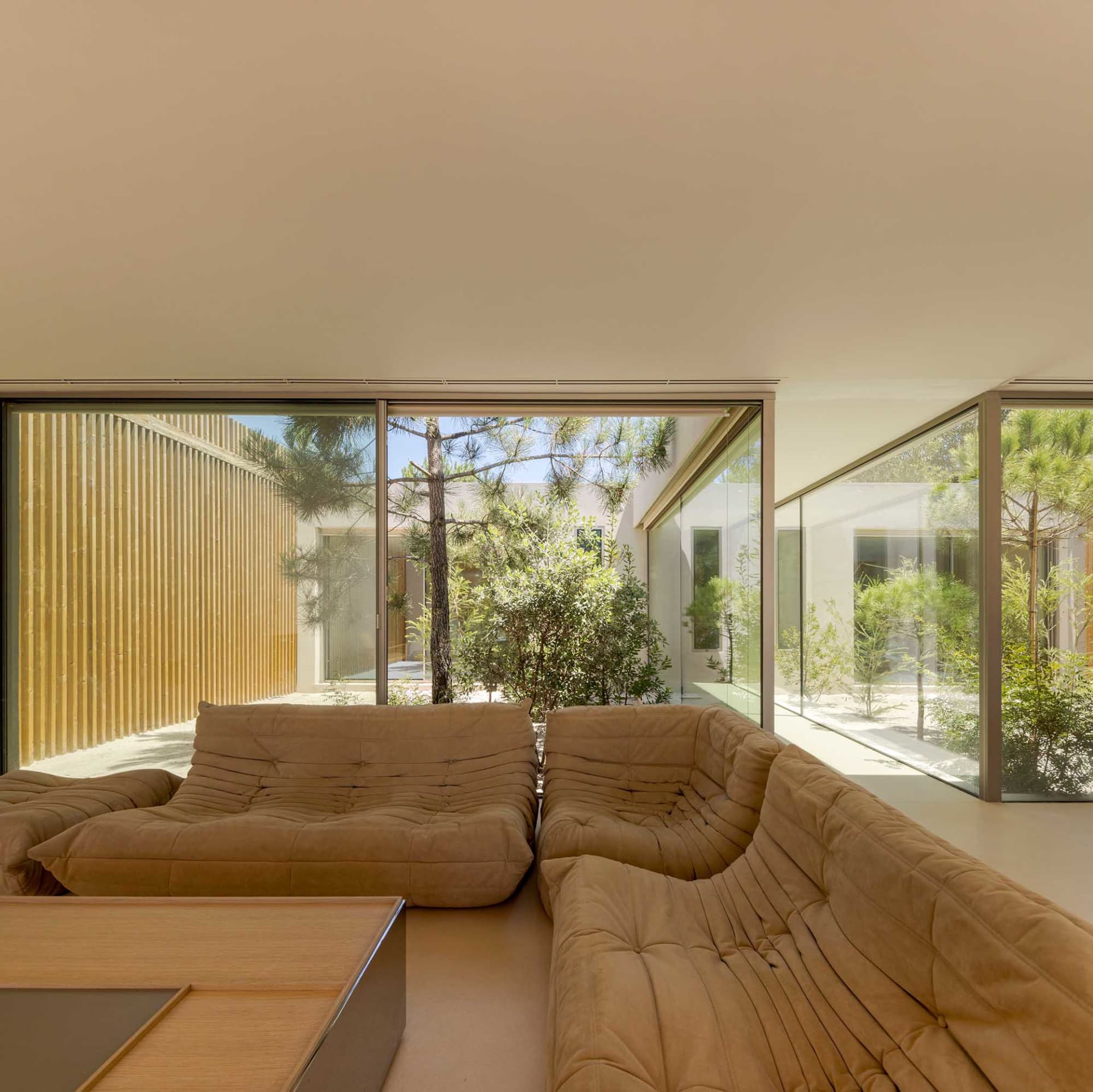 Sofas in a modern living room with fabric upholstery and glass walls.
