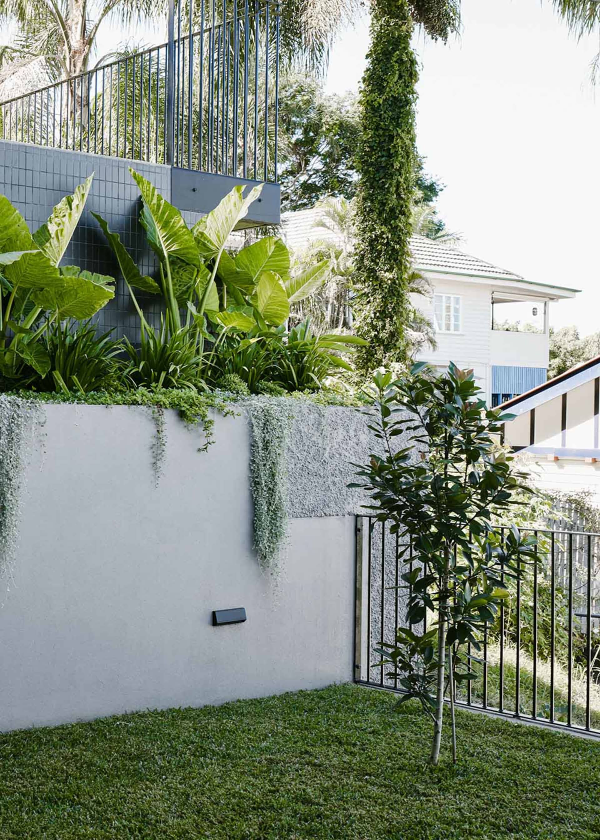 混凝土花園搭配建築元素與綠意植栽