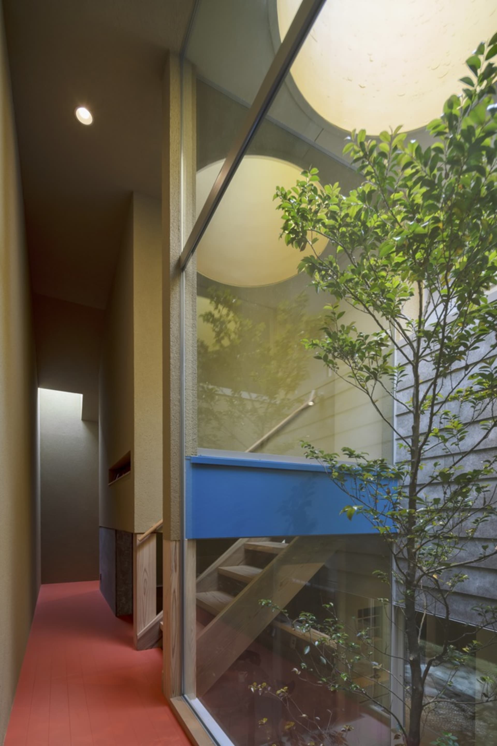 Modern residential interior with wooden elements and large windows featuring a tree.