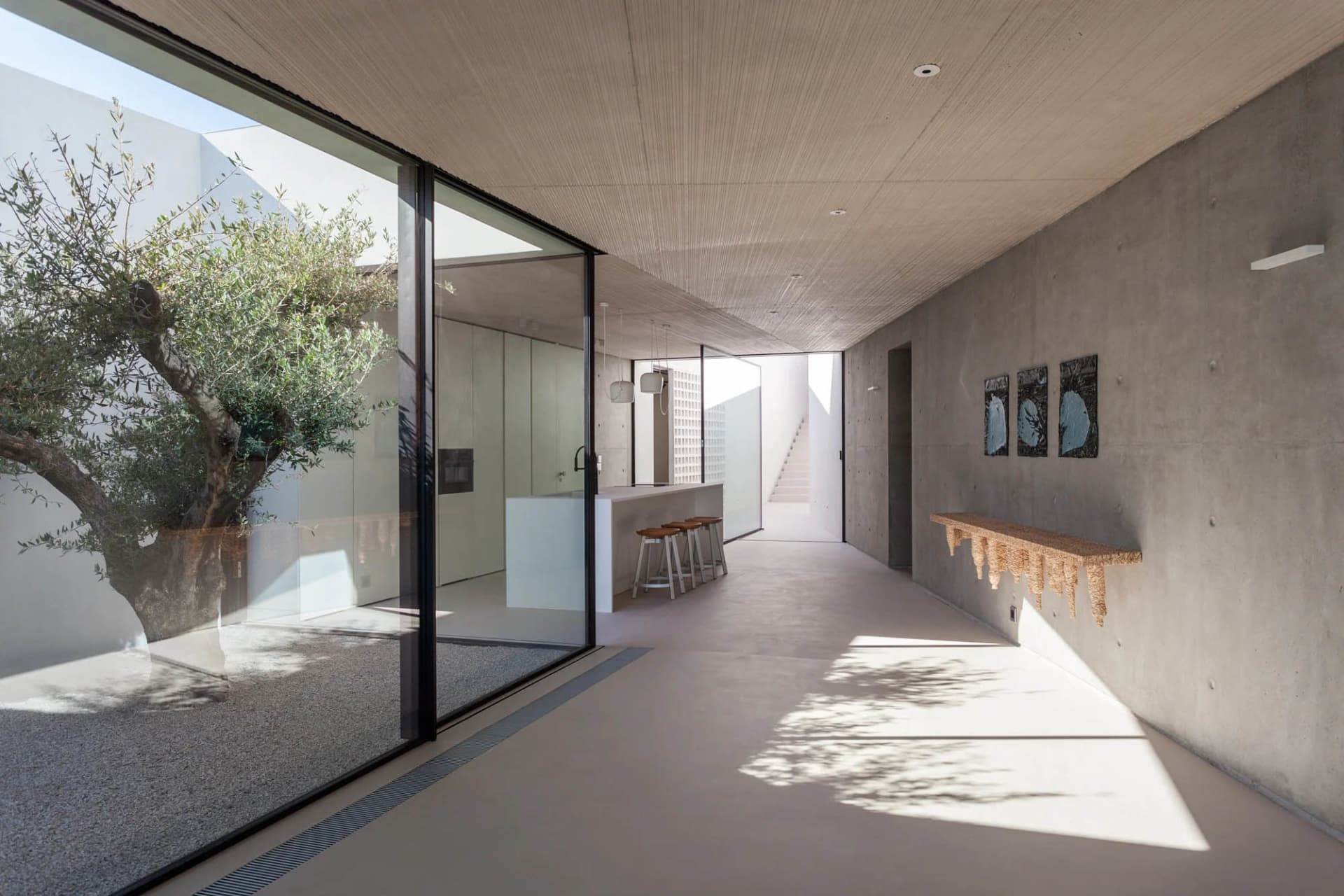 Modern interior space featuring concrete walls and ceiling, with a large window showcasing an olive tree.