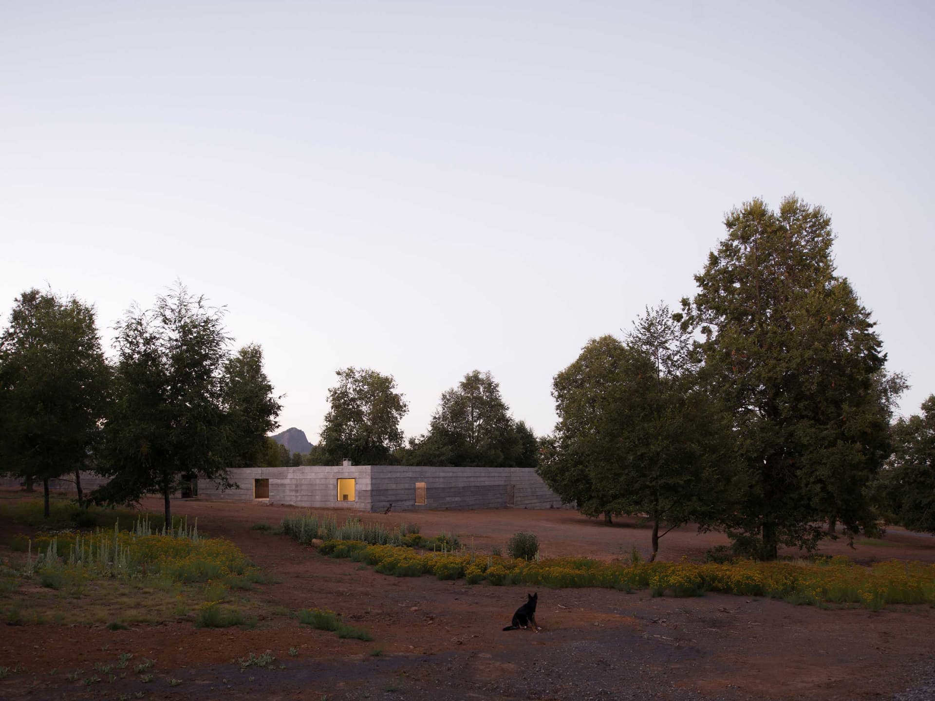 Modern structure with concrete exterior in a natural setting with trees and flowers.
