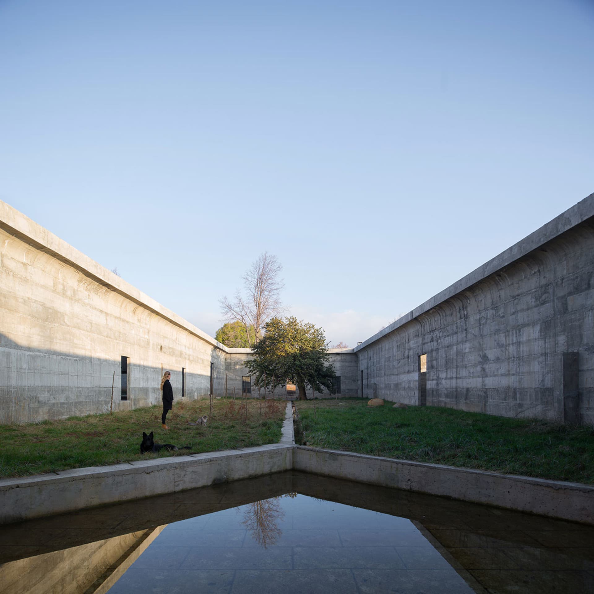 A minimalist, modern outdoor space featuring concrete walls and a reflective pond, surrounded by greenery and a solitary tree