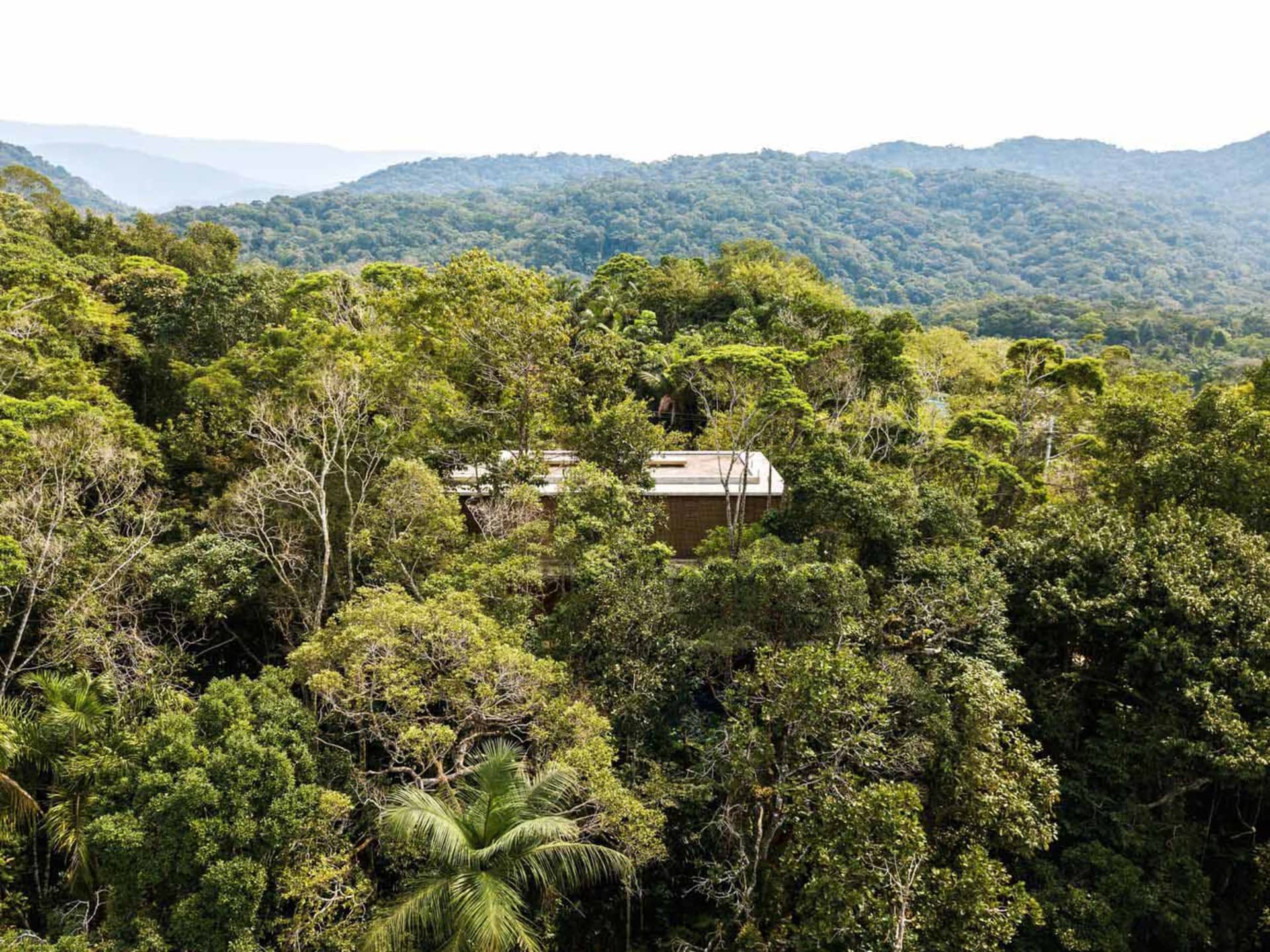 A modern house nestled in a dense jungle with large windows and a rooftop.