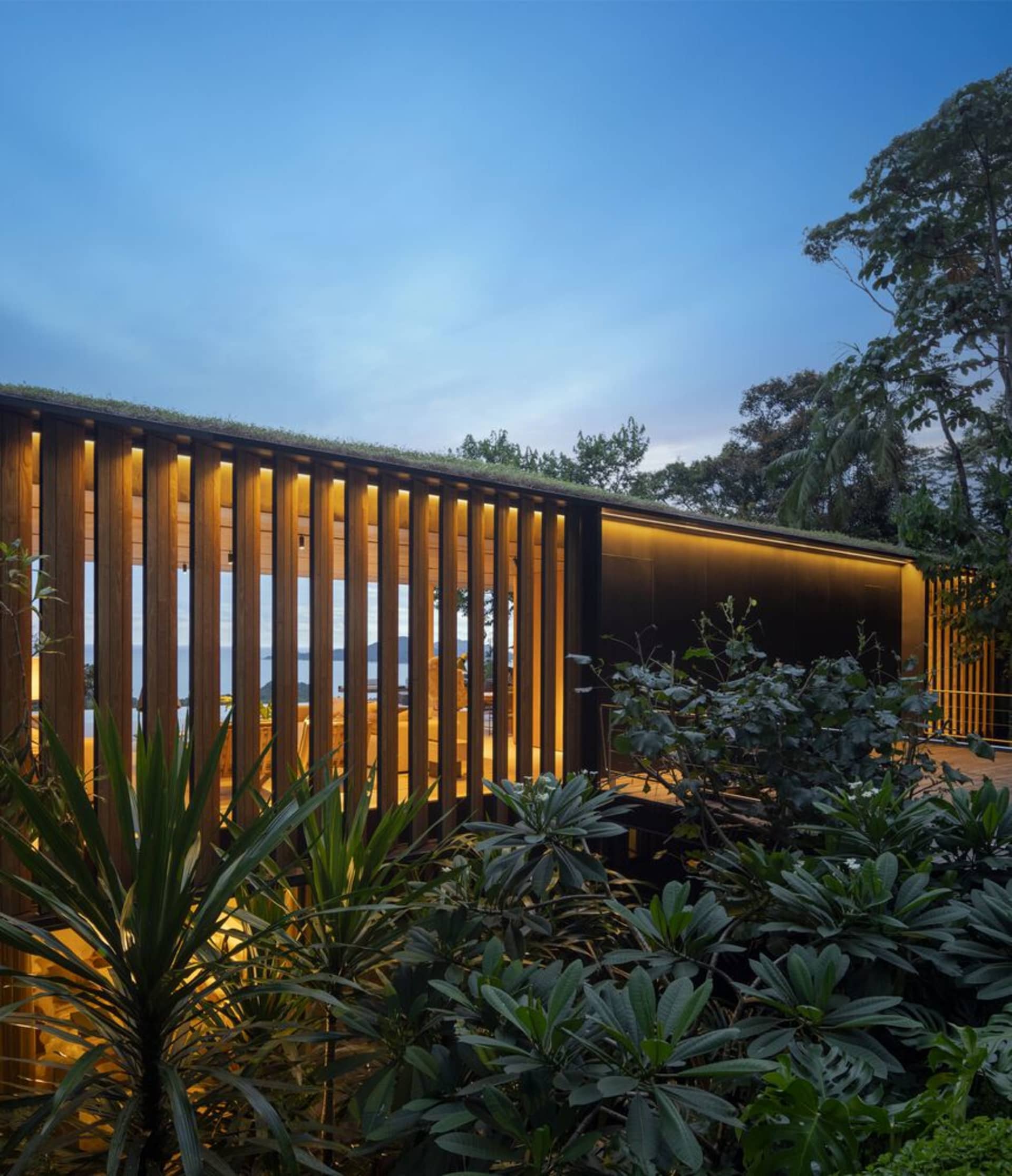 Modern residential retreat with glass walls, wooden slats, and green rooftop plants