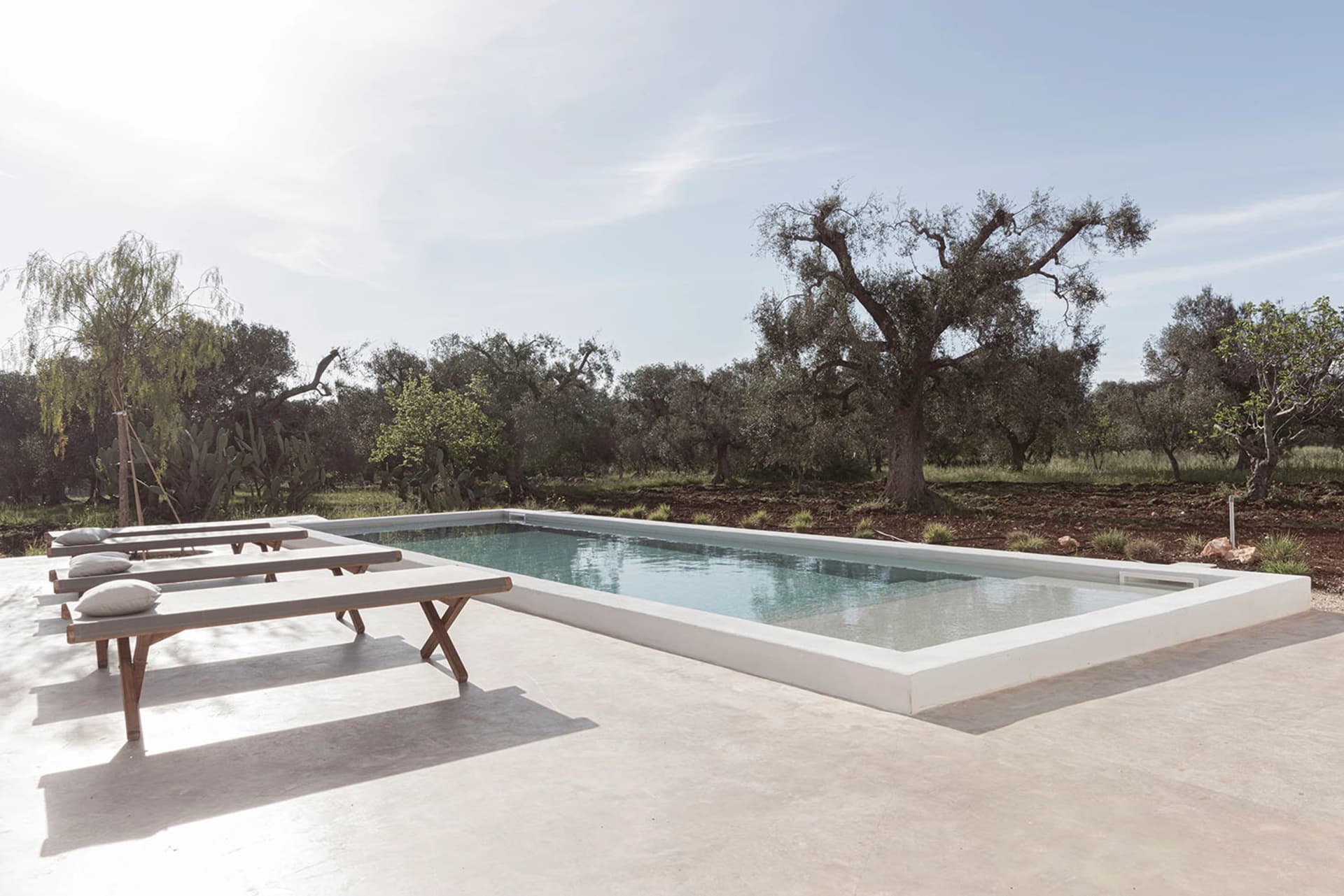 Modern outdoor swimming pool with concrete finish surrounded by greenery and lounge seating.