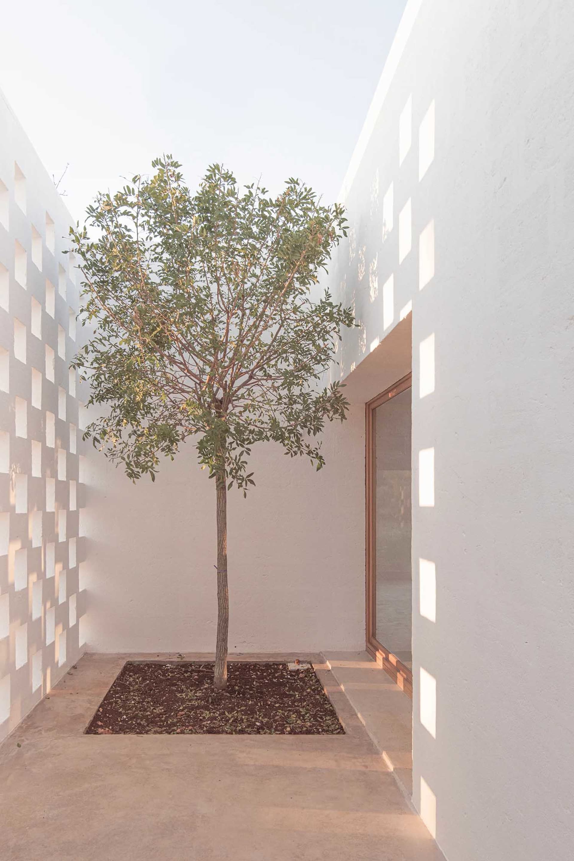 A minimalist library with a concrete floor, walls, and ceiling.