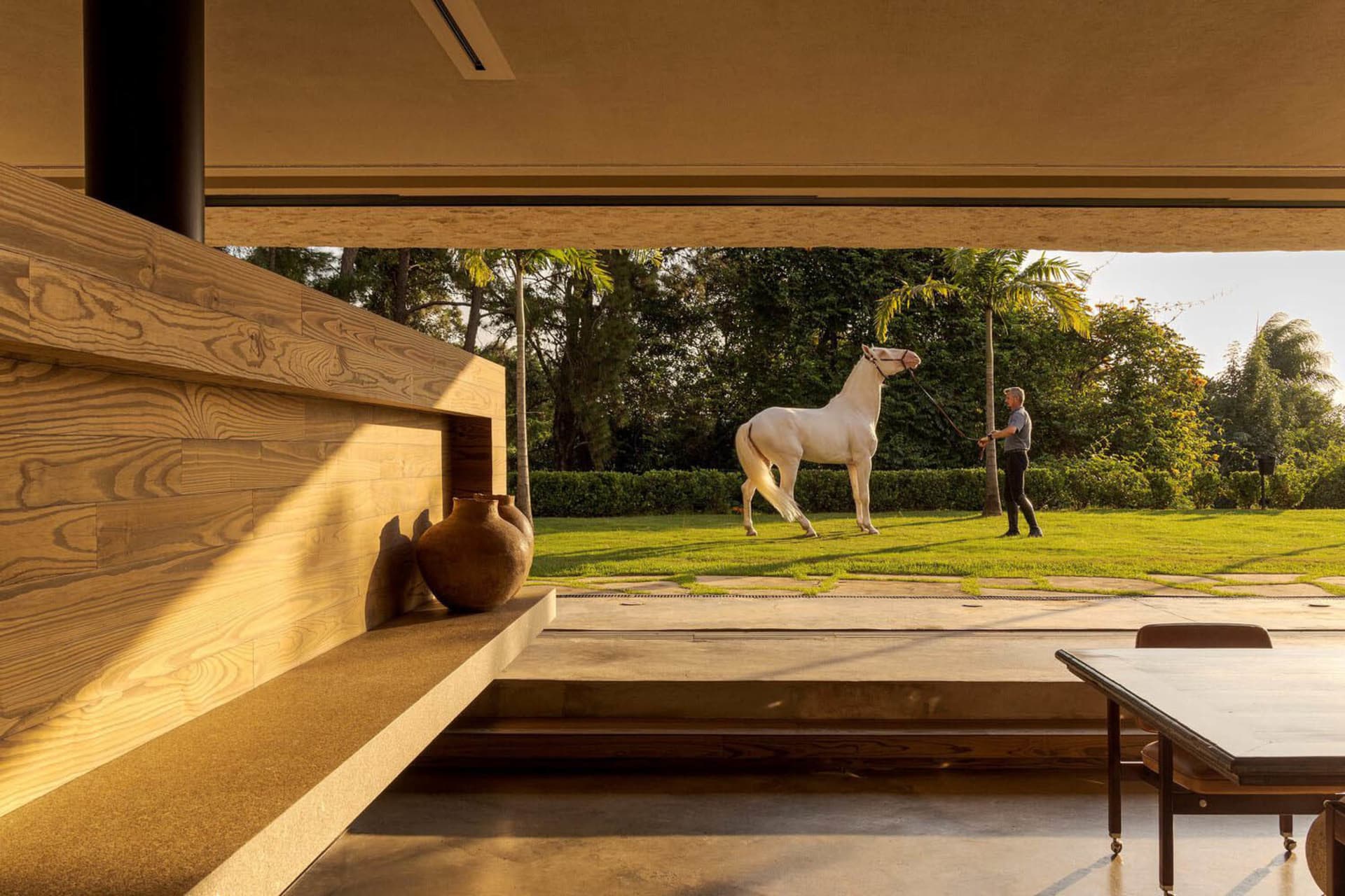 A modern interior with minimalist design, featuring a wooden wall and a white horse in the background.