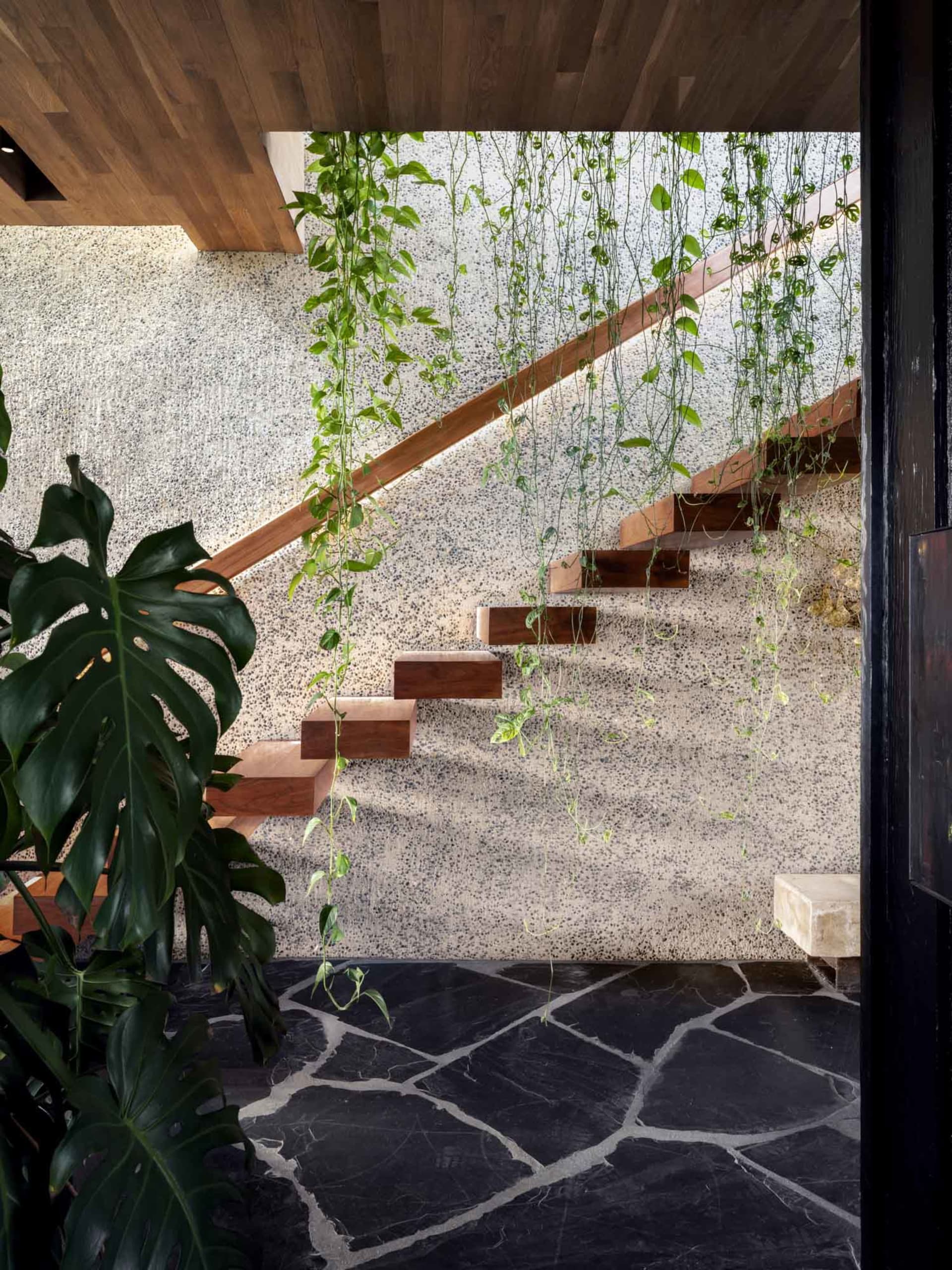 現代玄關設有懸浮木階,搭配懸掛的綠色藤蔓,營造寧靜的自然氛圍。