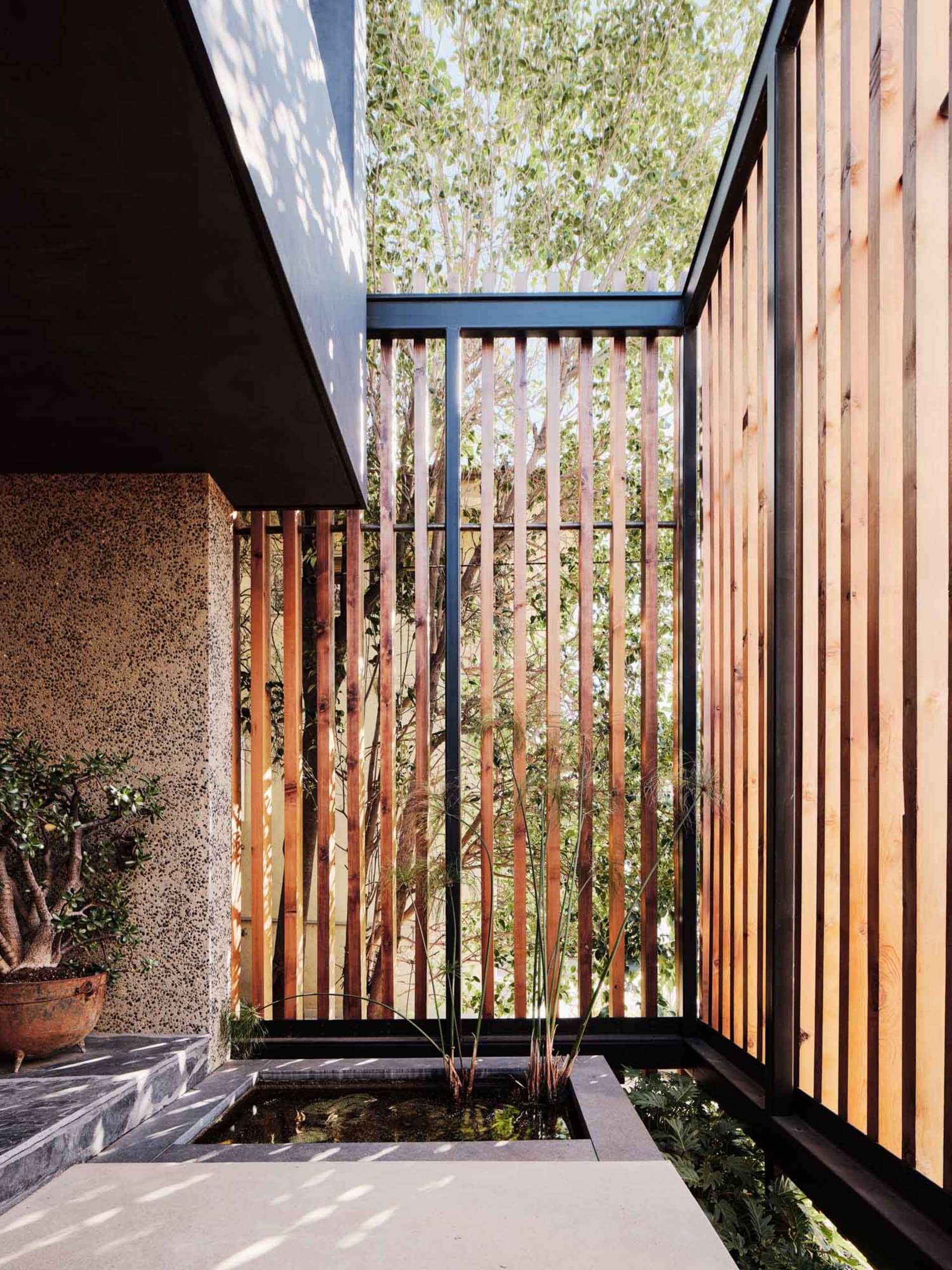 Modern building exterior with concrete walls and wooden accents, featuring a small pond and lush greenery.