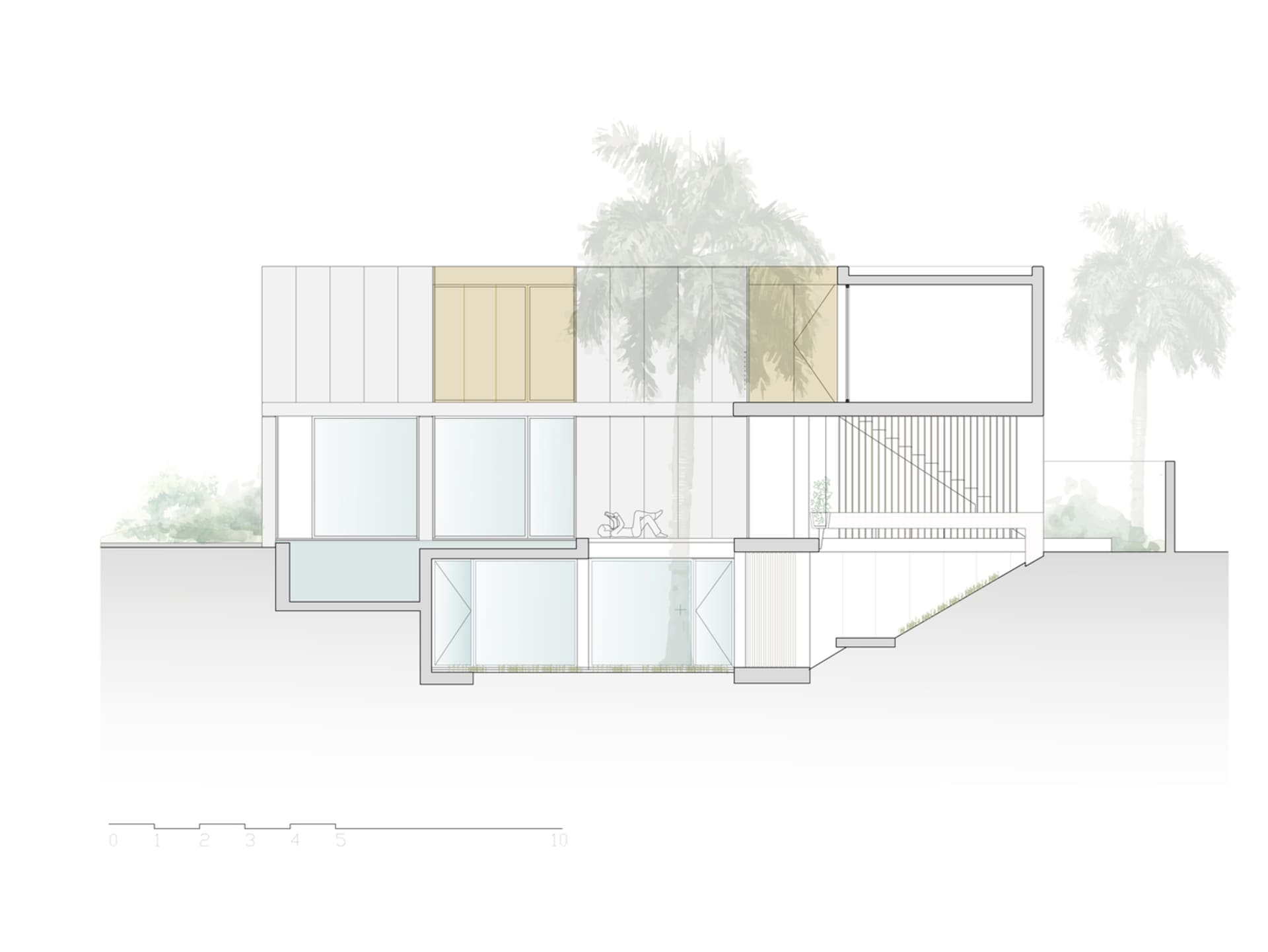 Modern house with glass walls and a metal walkway, surrounded by palm trees.