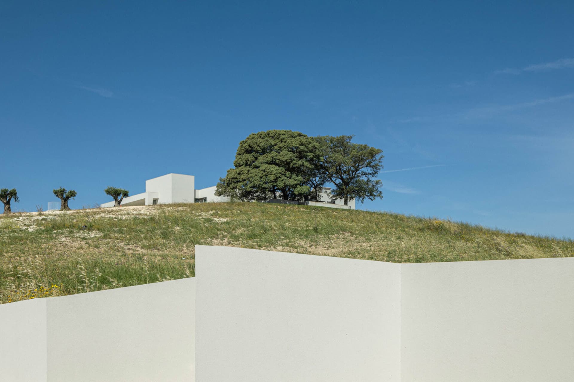 Modern building with concrete structure surrounded by greenery.
