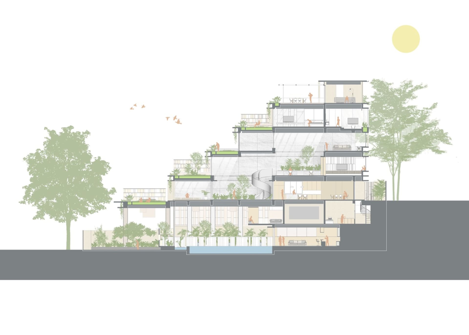 A modern residential architectural section view showcasing glass, concrete, and wooden elements.