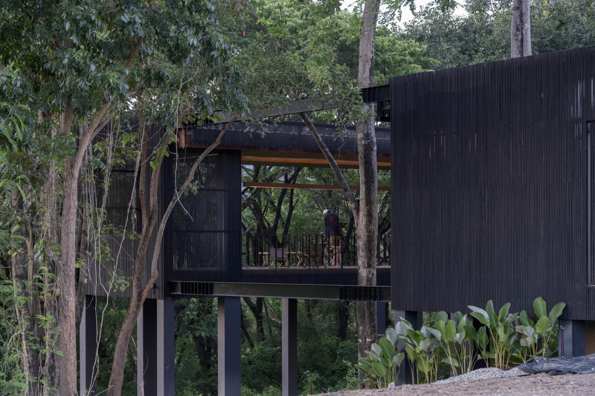 A modern residential house with a black exterior, featuring wood panels and a balcony.