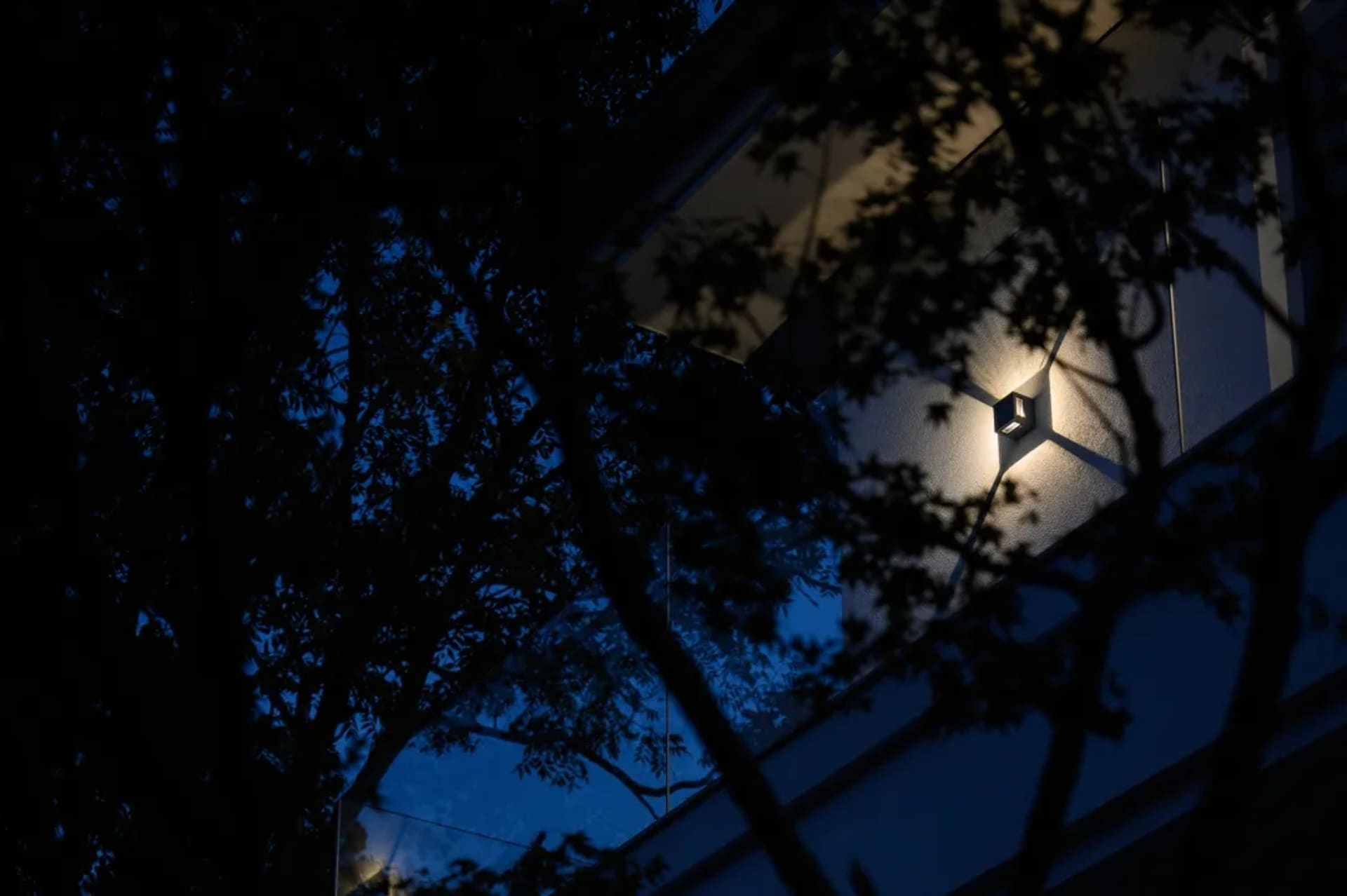 A modern building with a glass facade illuminated at night, with tree branches silhouetted in the foreground.