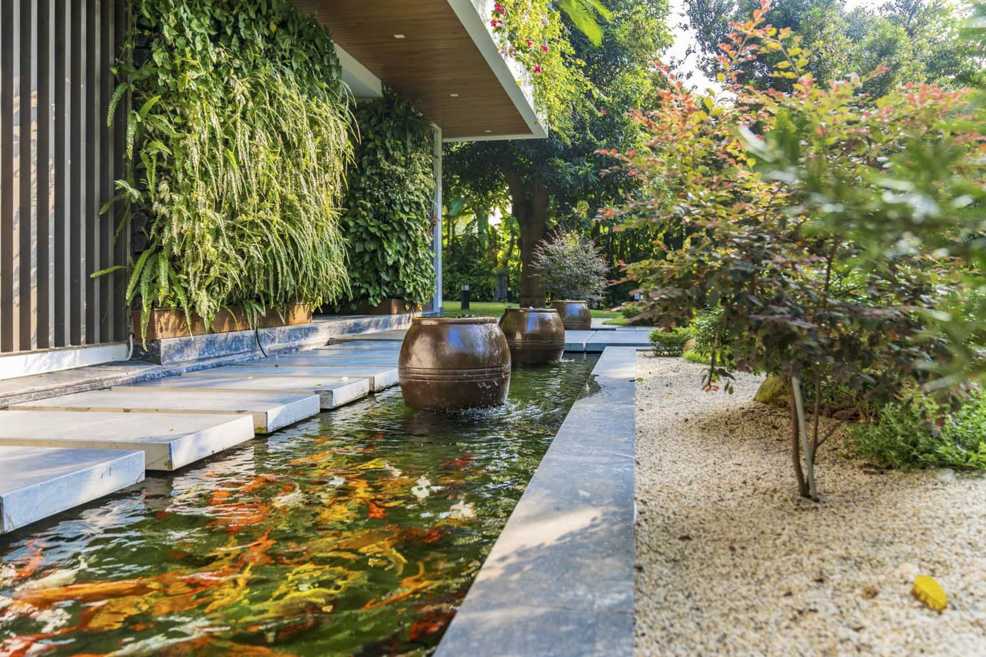 現代花園水景,池塘中游著色彩繽紛的魚,池邊環繞植物與樹木。