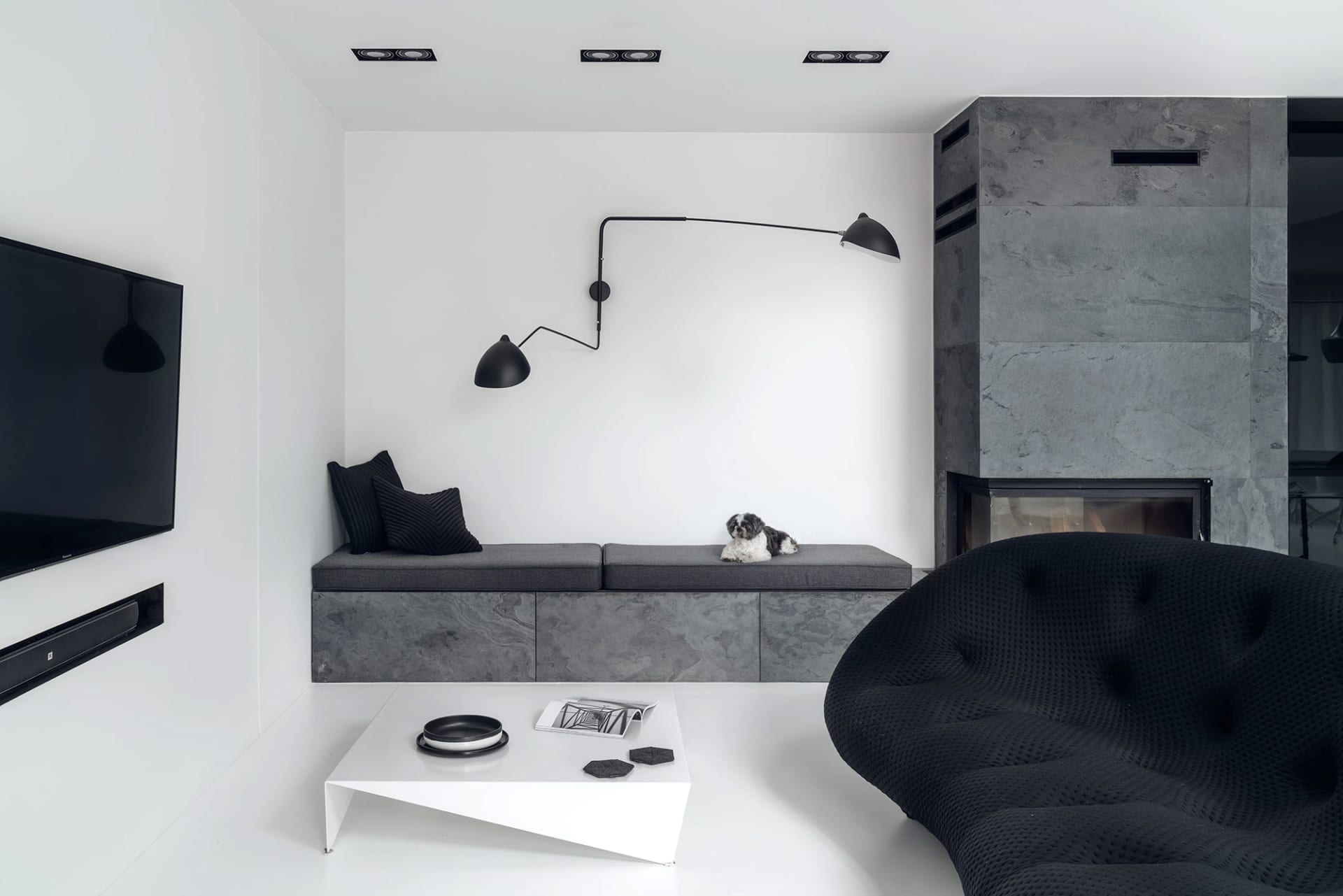 A minimalist living room featuring modern concrete and marble furnishings, a black and white dog resting on a cushioned bench