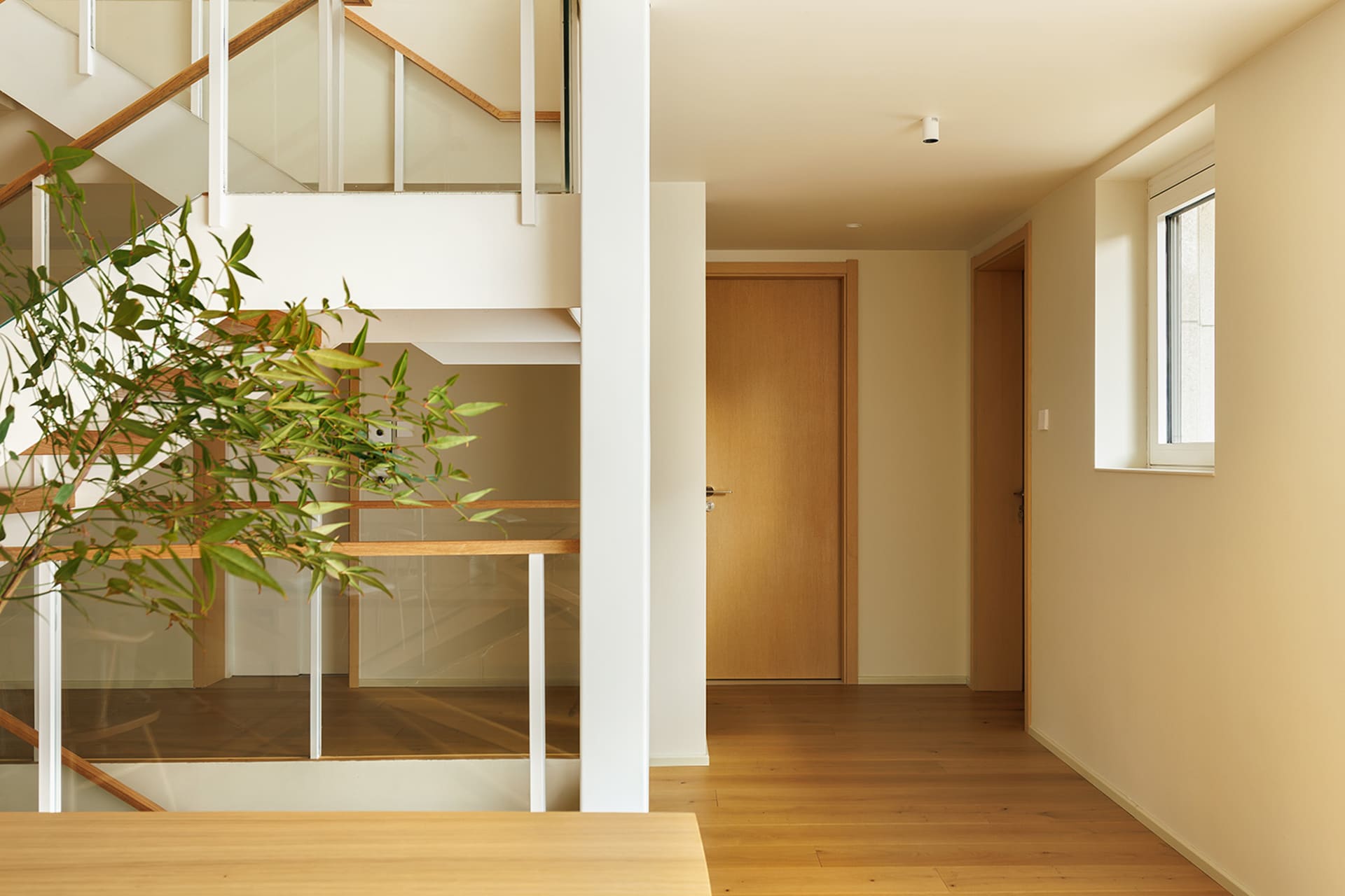 Modern residential interior featuring minimalist design with wooden floors, glass walls, and white walls.