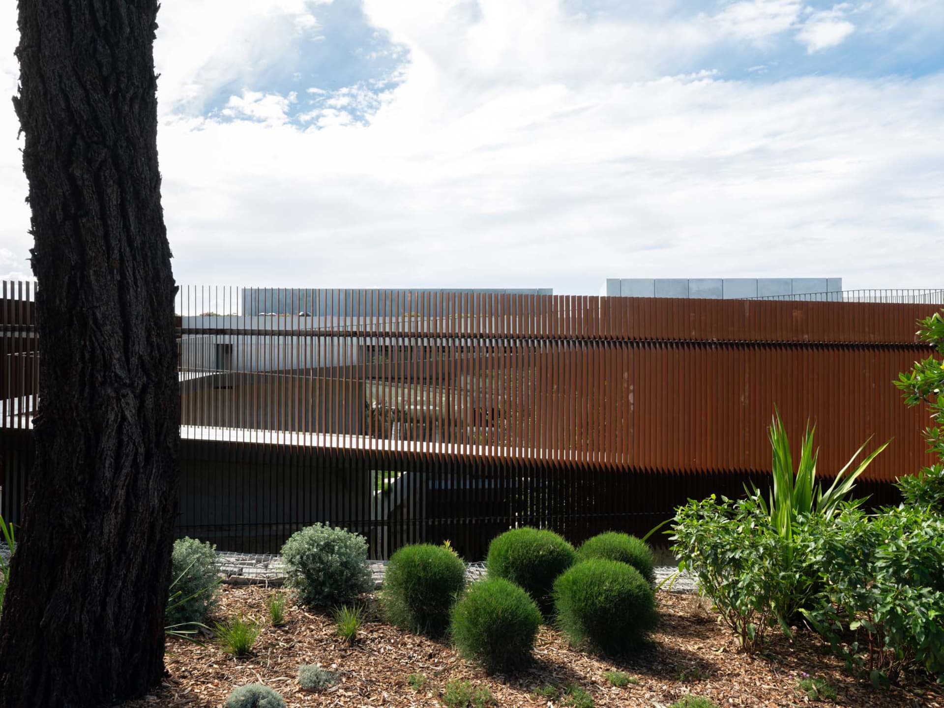 Modern exterior architecture featuring a metal-cladding wall and greenery.