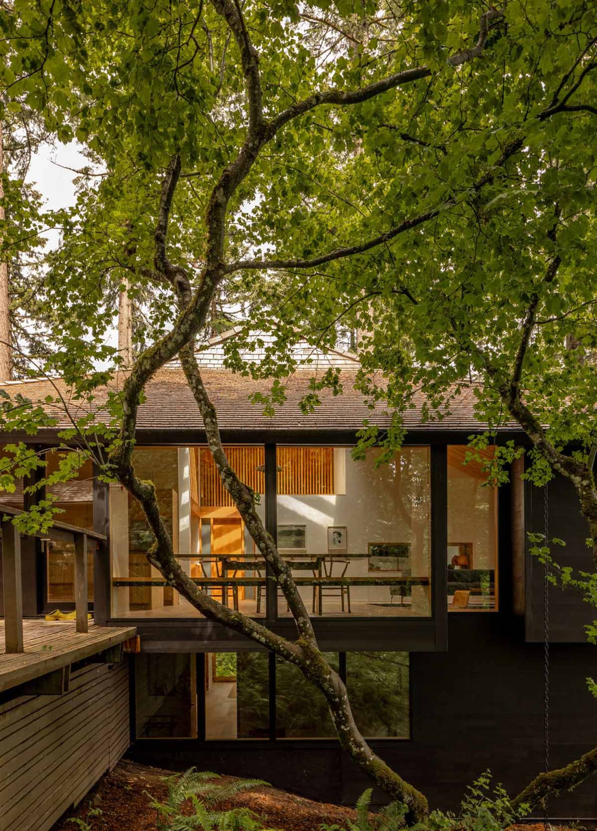 A modern minimalist house featuring wood and glass materials.