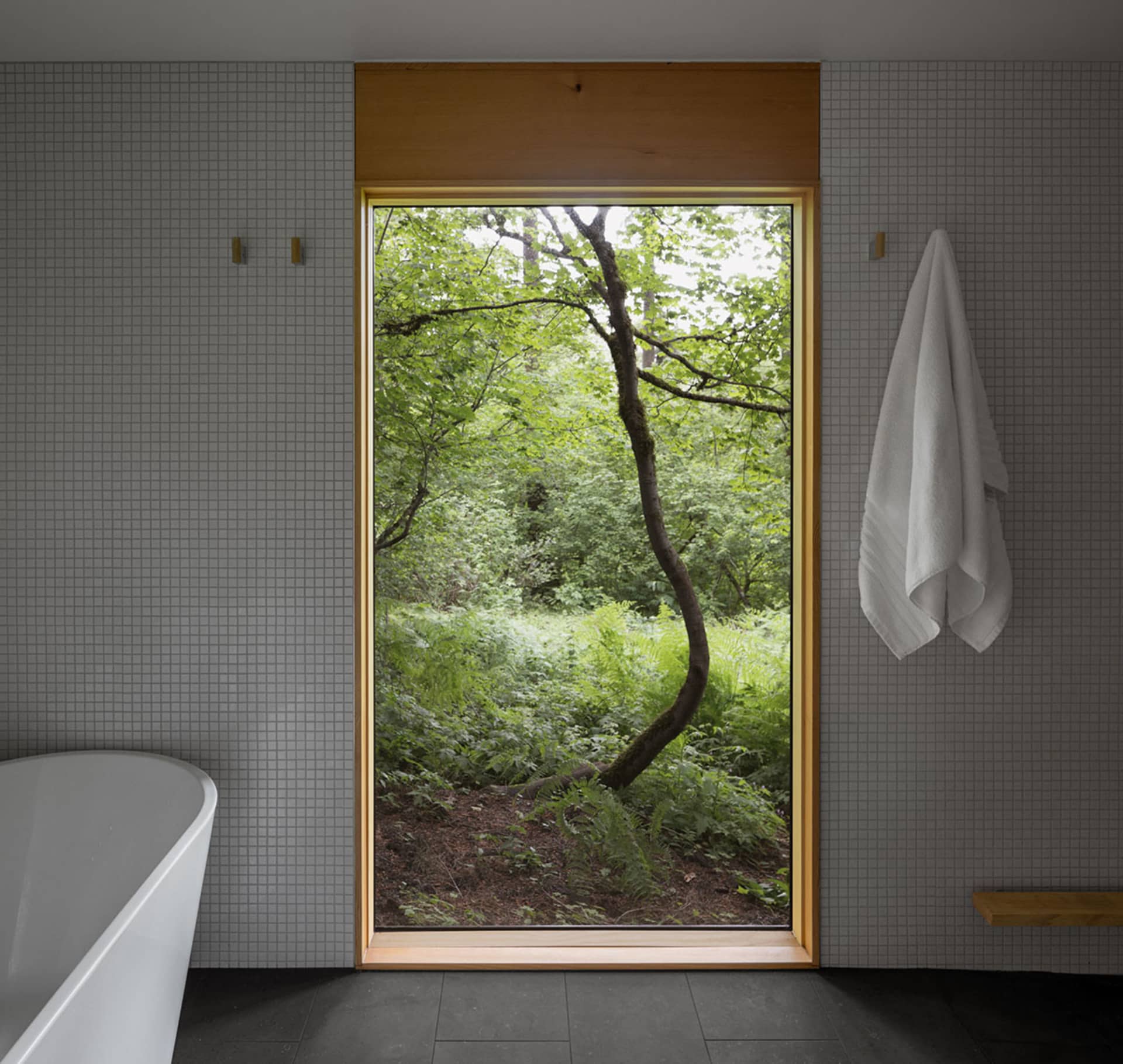 Modern bathroom with a clear glass window showcasing a lush forest view.