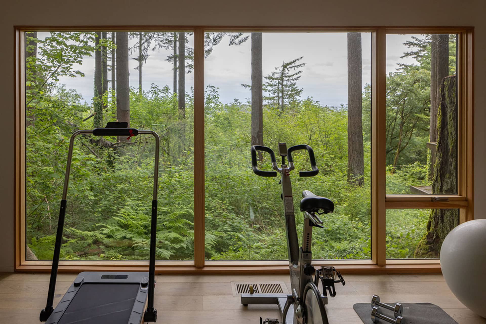 A home gym equipped with a treadmill, exercise bike, and ball, set against a backdrop of forested trees through large windows