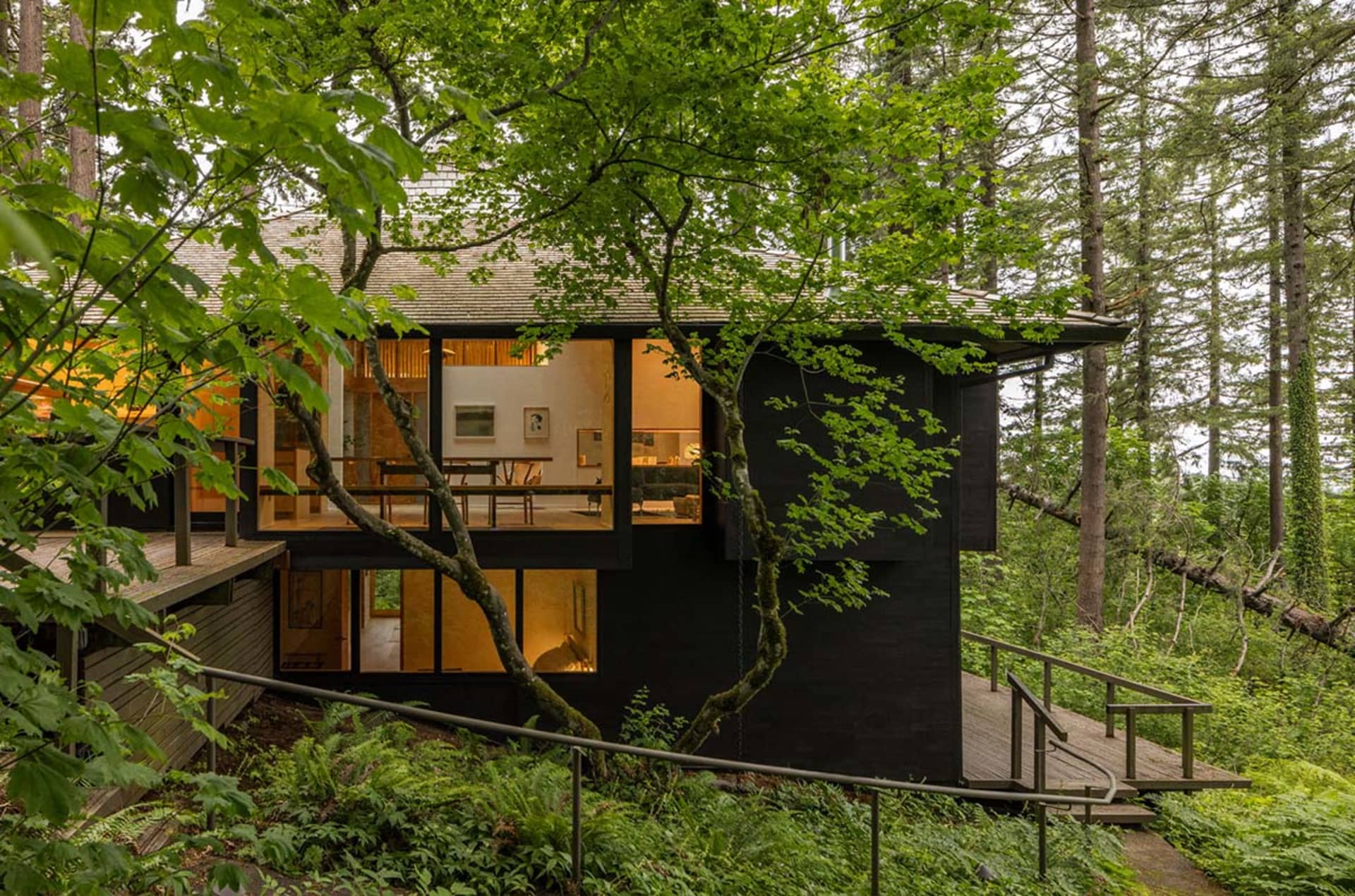 A modern minimalist cabin with large glass windows and wooden exterior surrounded by lush greenery.