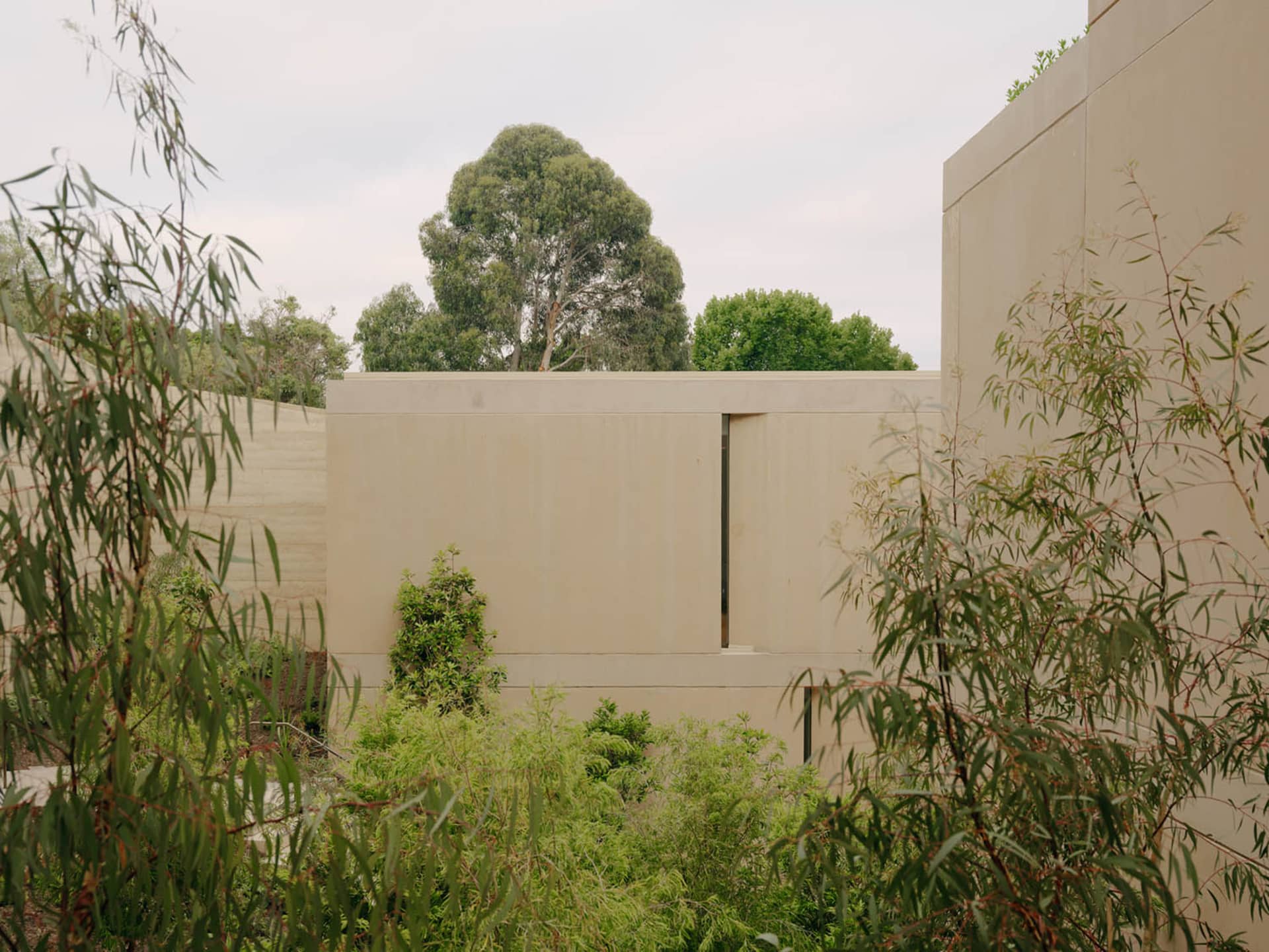 A minimalist architectural design featuring a modern exterior with concrete walls and greenery.