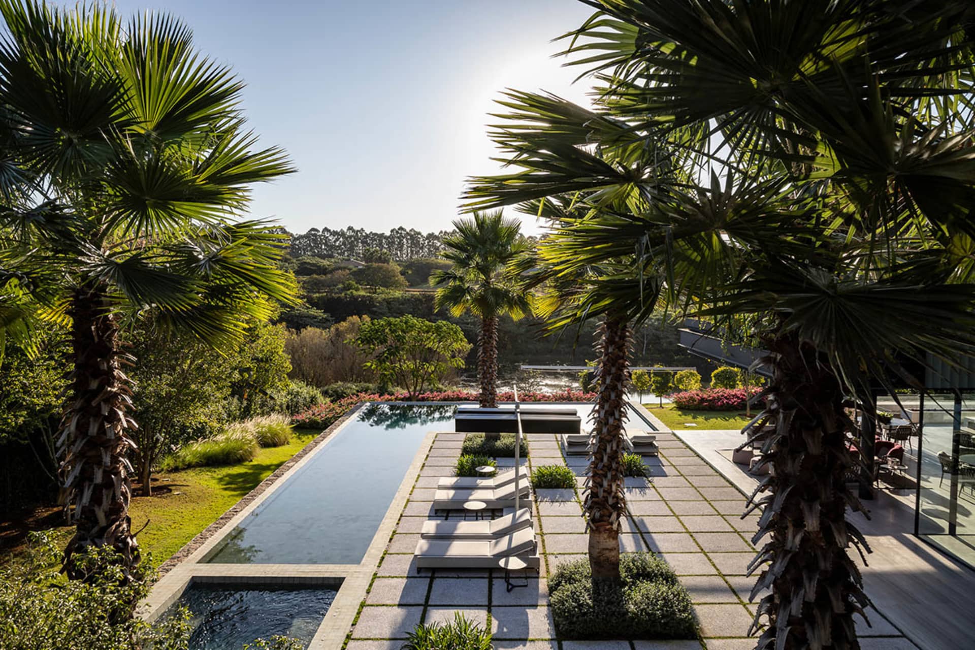 Outdoor landscape design featuring a water body, concrete pool, and lush plants