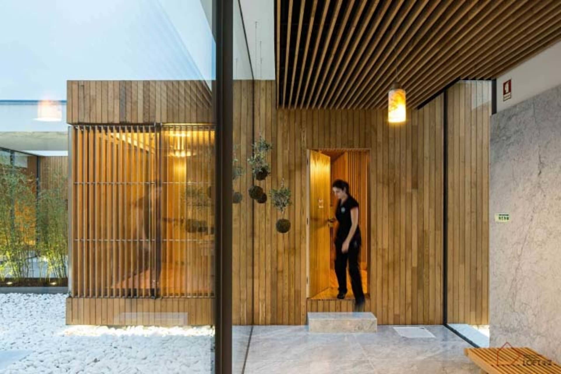 A modern entrance hall with wooden floors and walls, featuring plants and a glass wall.