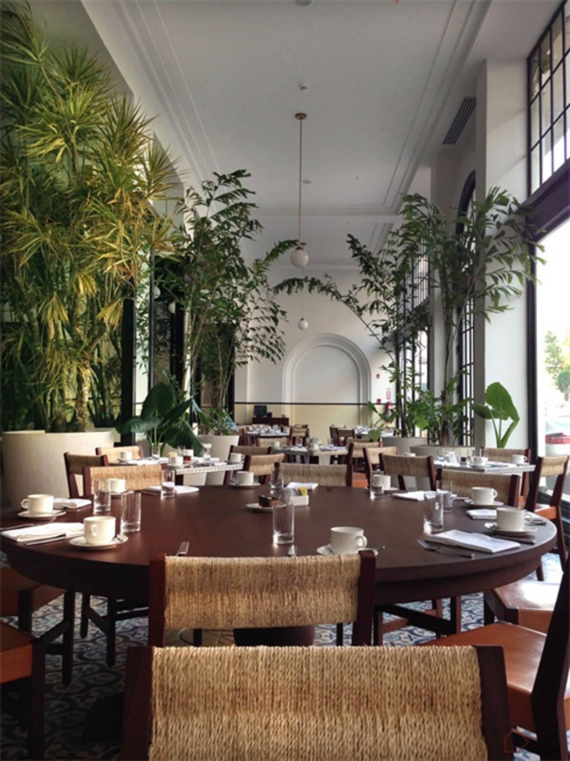 Elegant Dining Collection 3