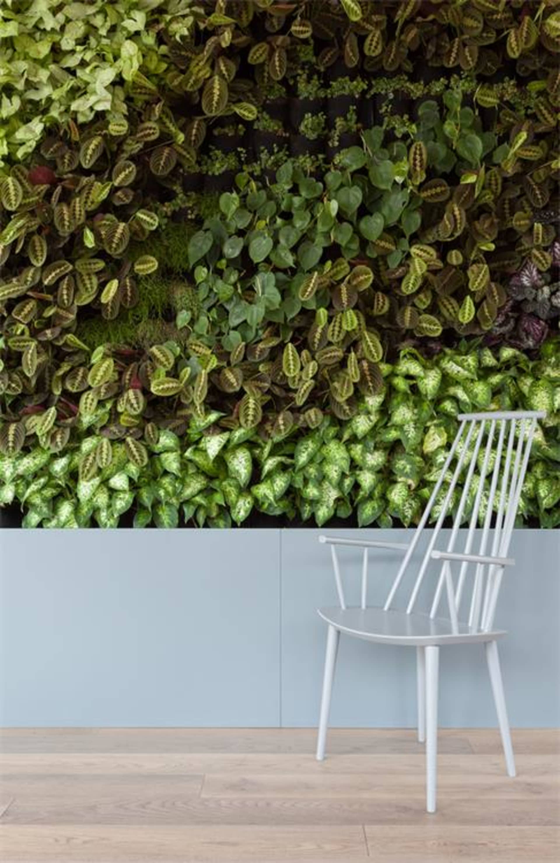 An indoor garden featuring a living wall of various foliage.