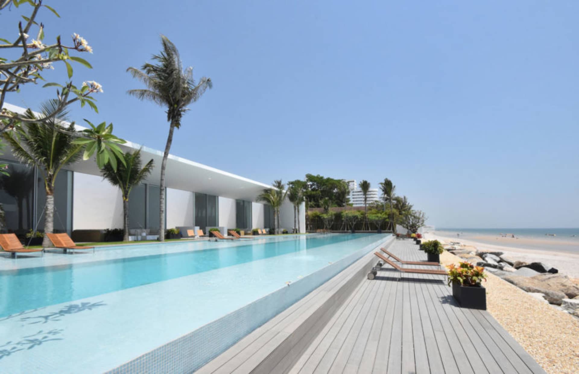 Modern glass and concrete beach resort with poolside palm trees and rock formations.