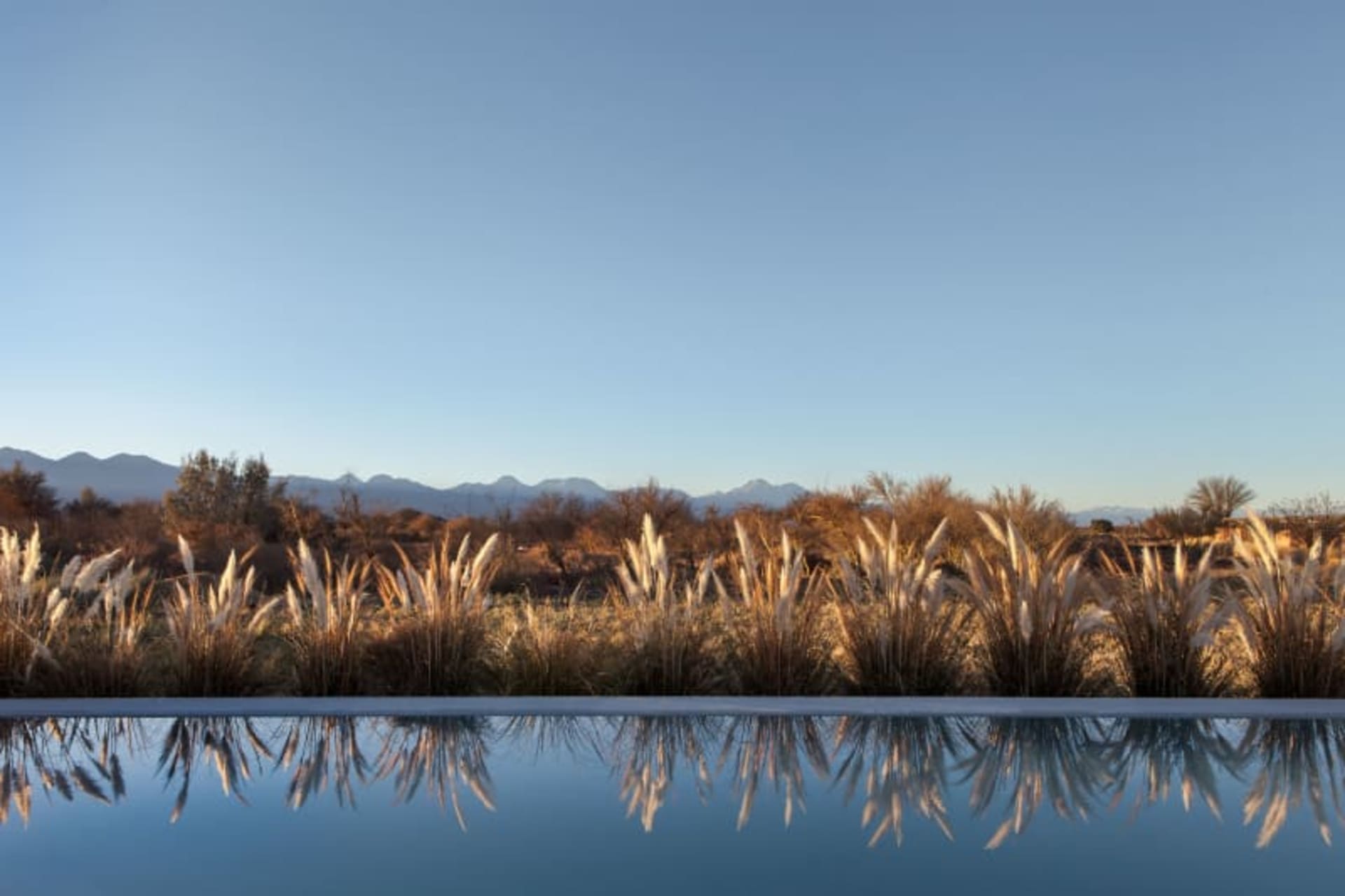 A serene pool reflects tall grass and a vast landscape under a clear blue sky.