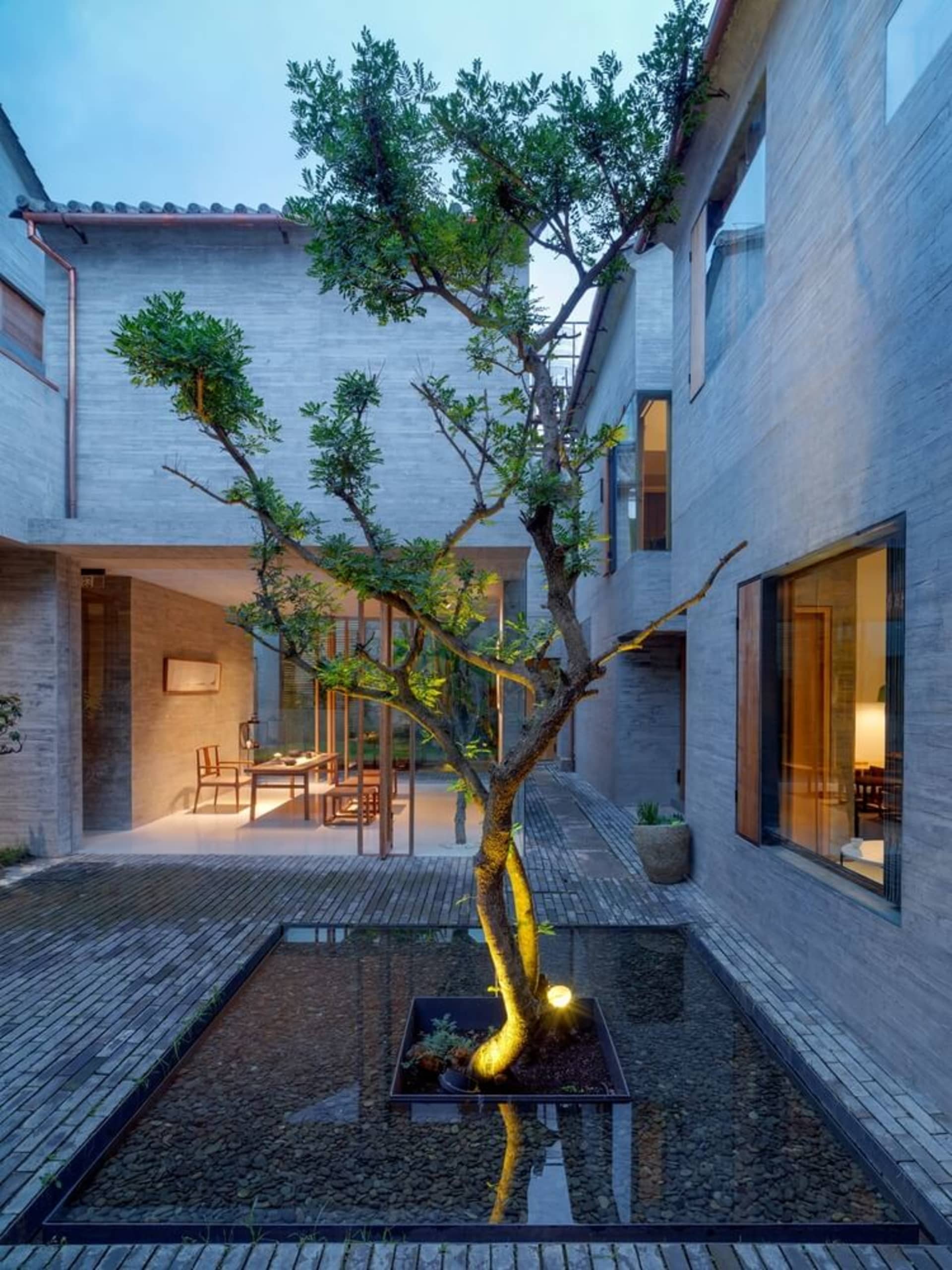 極簡住宅室內,混凝土地板,庭院中種植一棵樹並有水景。