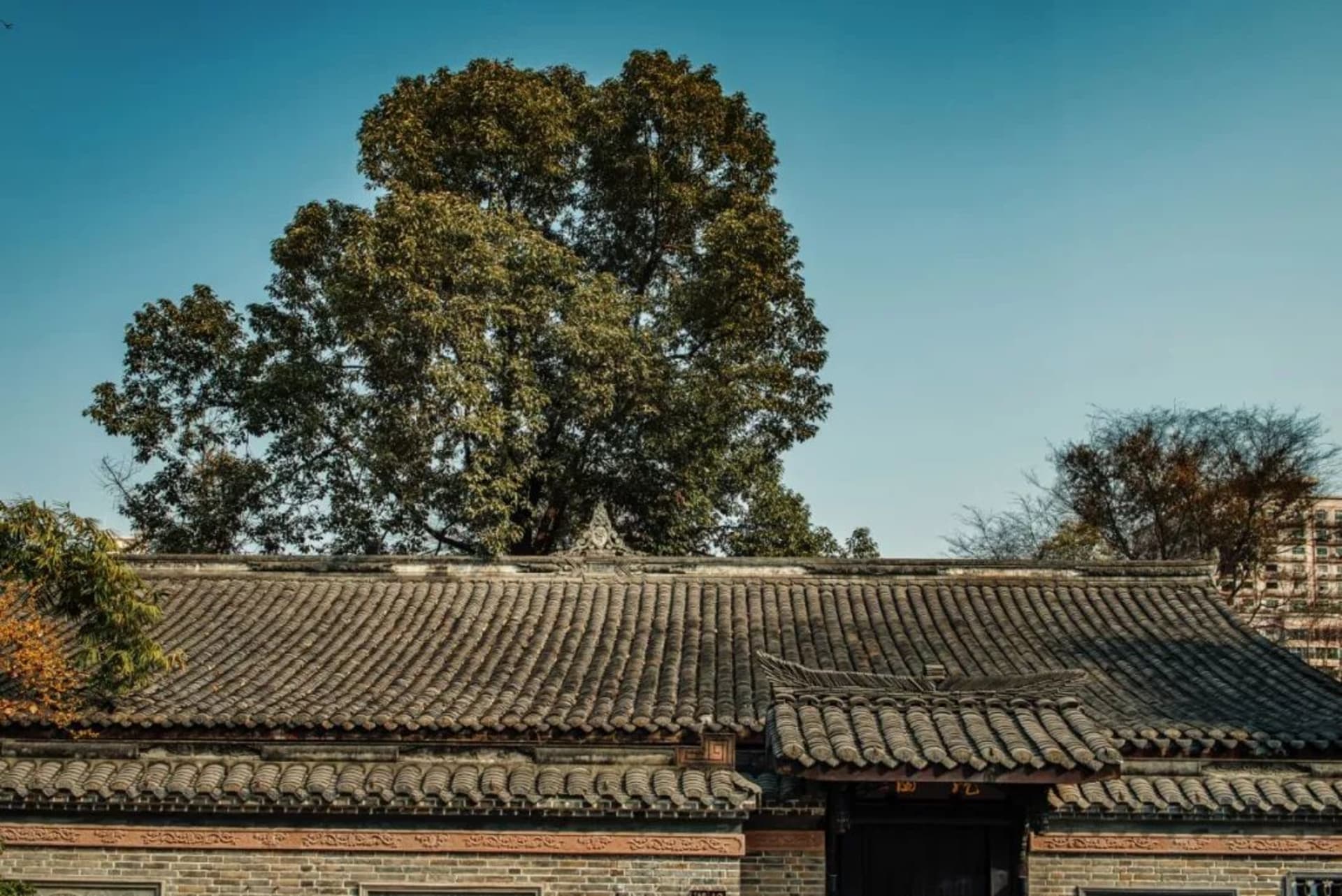 Ancient clay tile-roofed house with brick walls.