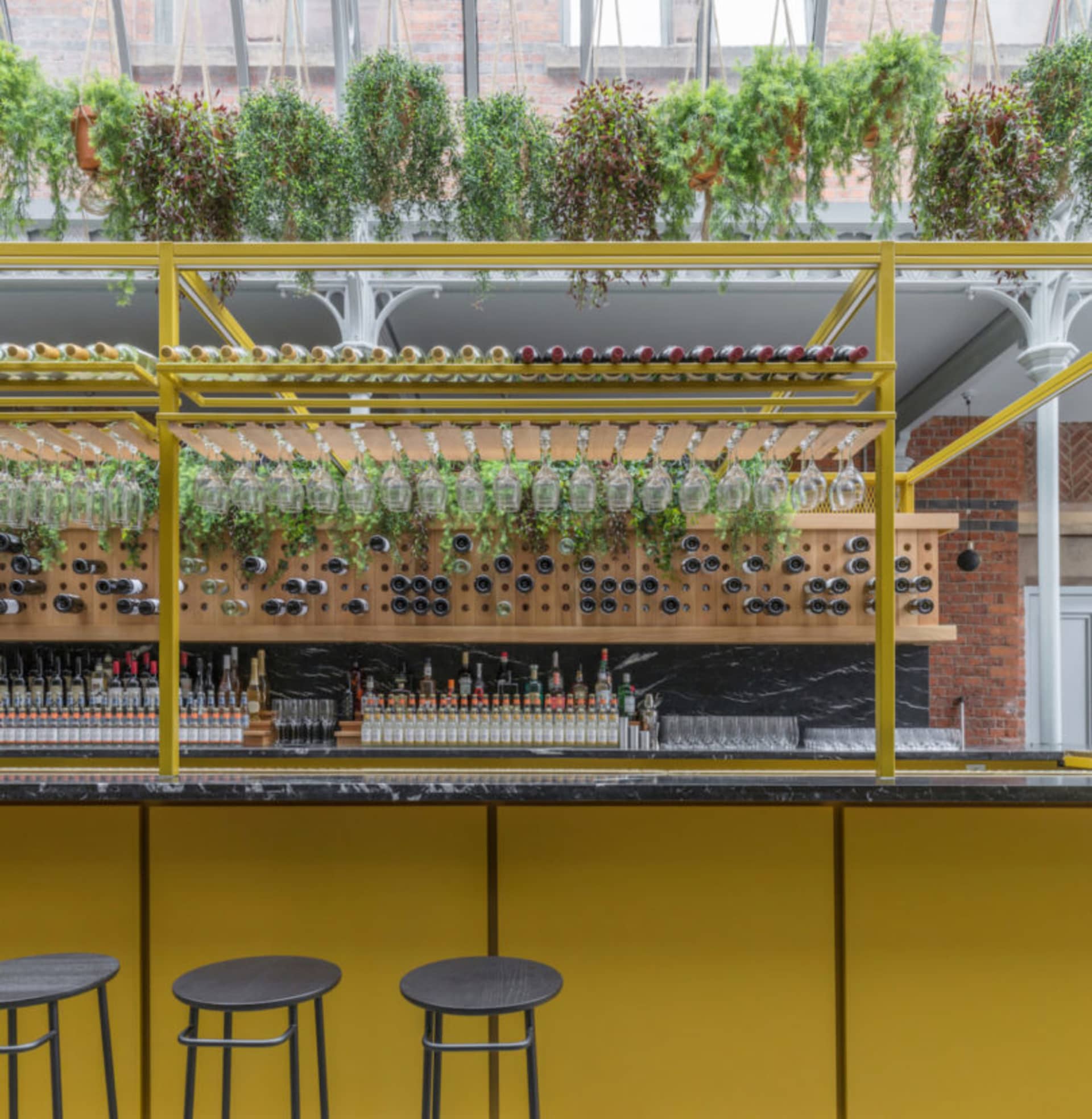 餐廳吧台設有黃色金屬層架、綠色植栽，以及各式瓶罐與玻璃杯。