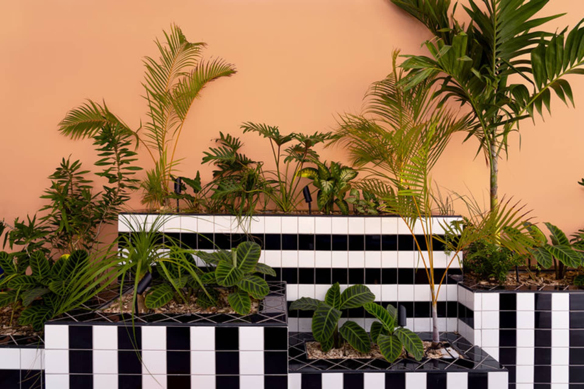 A modern indoor plant display featuring concrete tiles and various green plants.