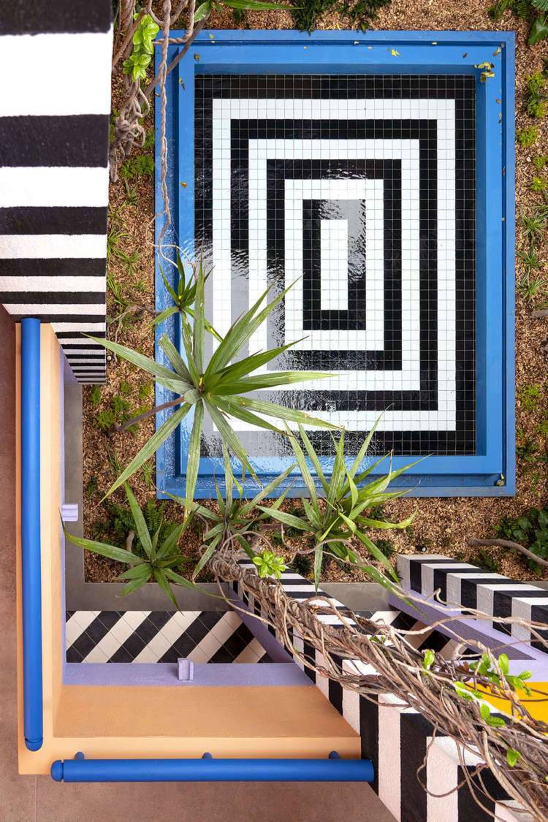 A modern terrarium with a geometric design and blue frame.