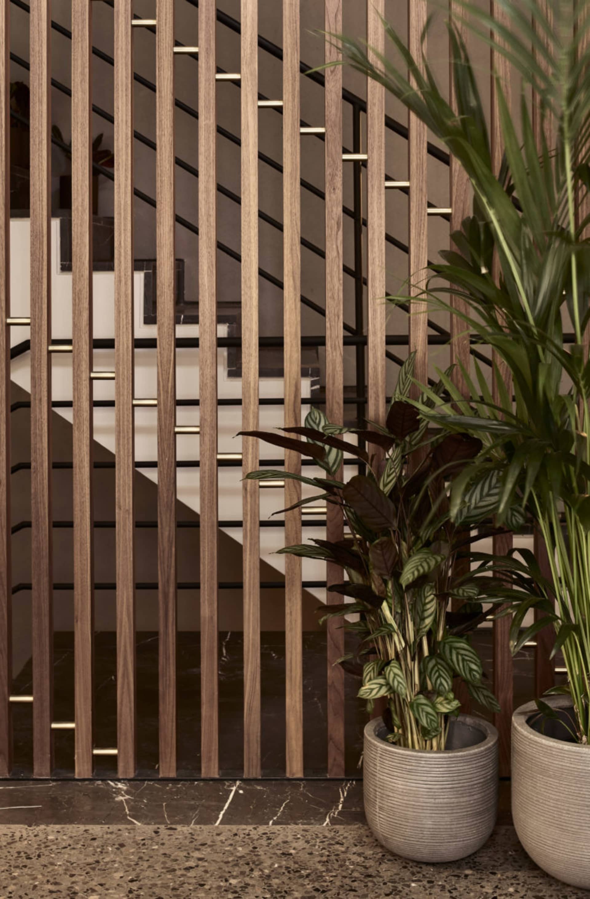 Modern lobby interior with wooden slatted wall and green potted plants.